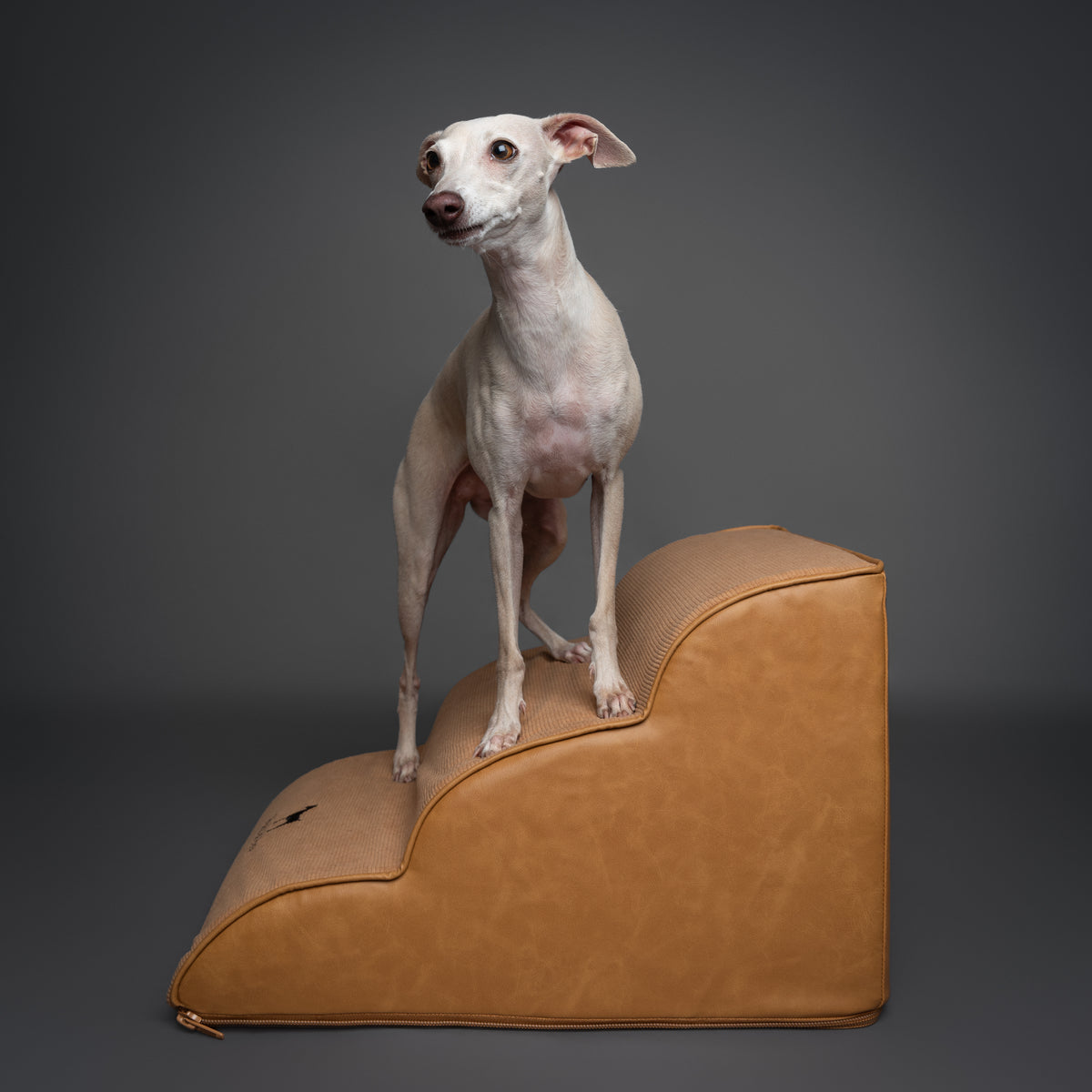 Noah & Paw dog ramp stairs for bed in faux leather, camel, 3 steps