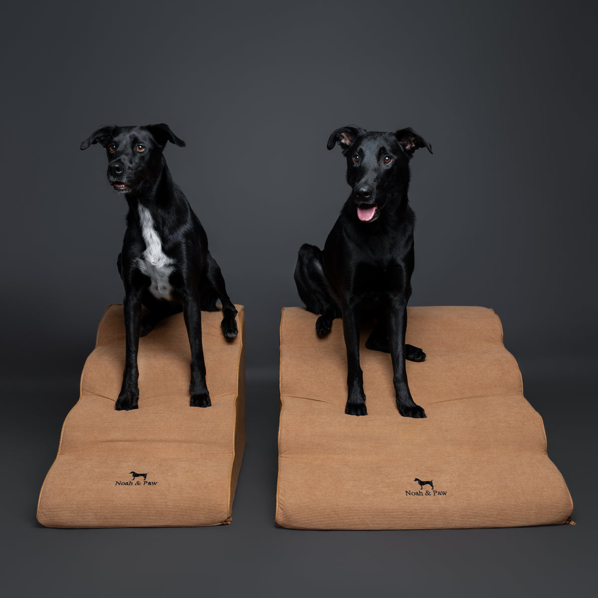 Noah & Paw 27-inch extra wide dog ramp stairs in faux leather, camel, 4 steps