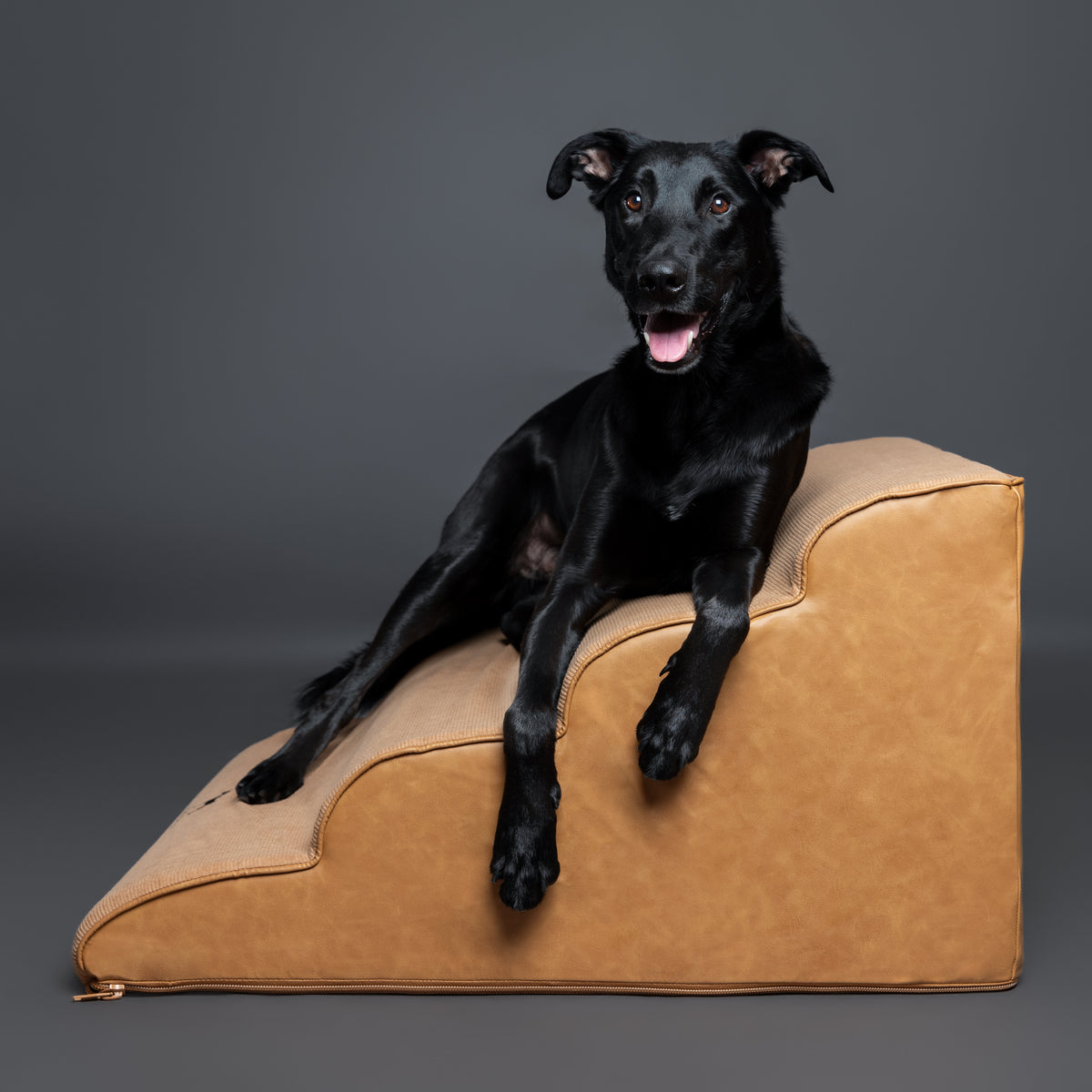 Noah & Paw 27-inch extra wide dog ramp stairs in faux leather, camel, 4 steps