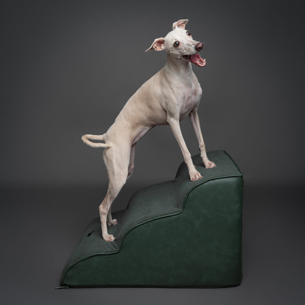 Noah & Paw dog ramp stairs for bed in faux leather, dark green, 3 steps