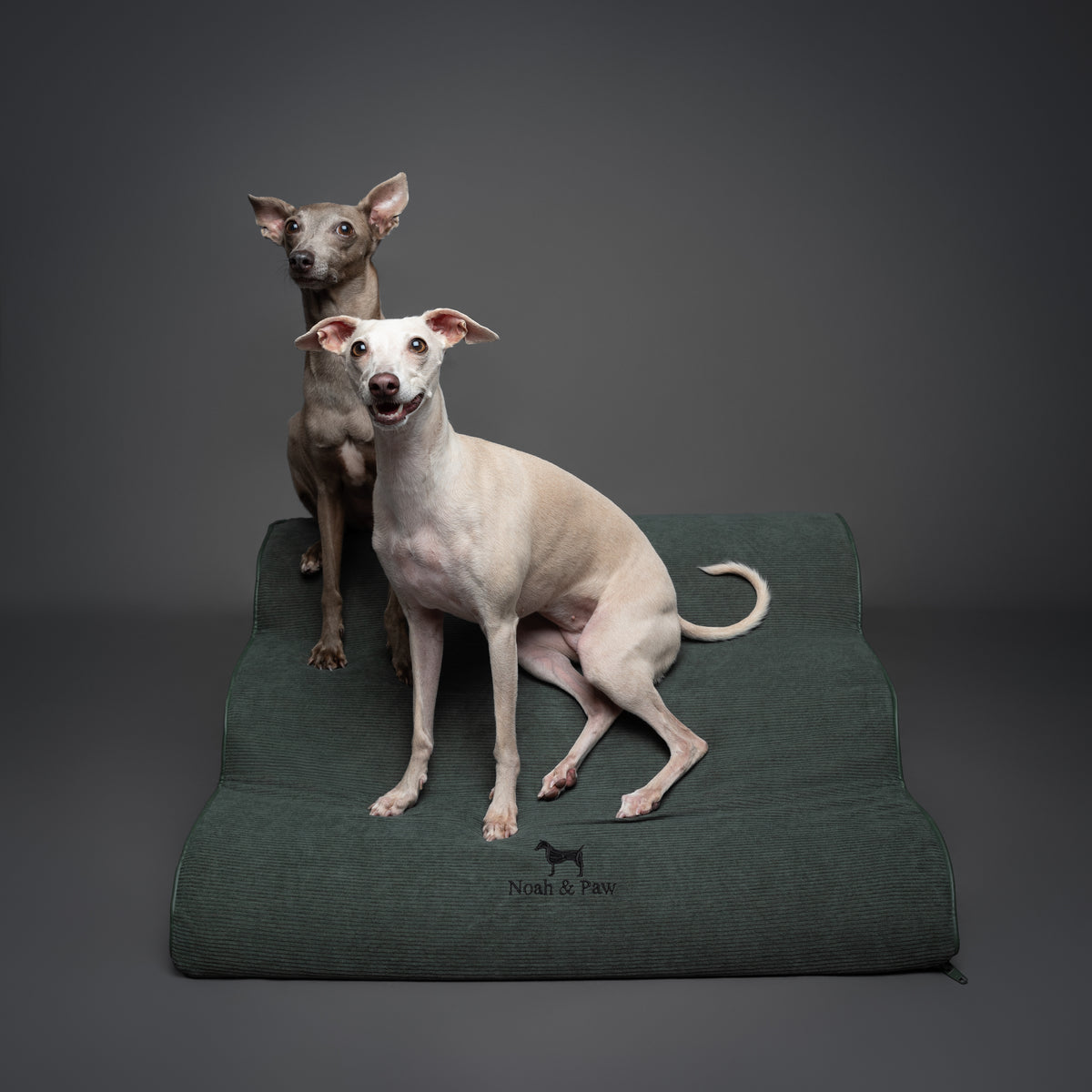 Dark green extra wide dog ramp, 27 inch, Noah & Paw