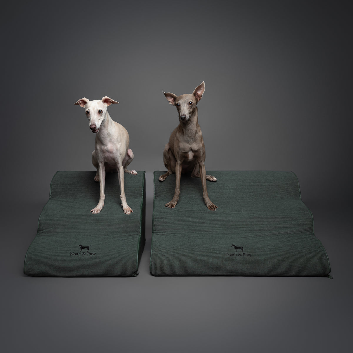Noah & Paw 27-inch extra wide dog ramp stairs in faux leather, dark green, 3 steps