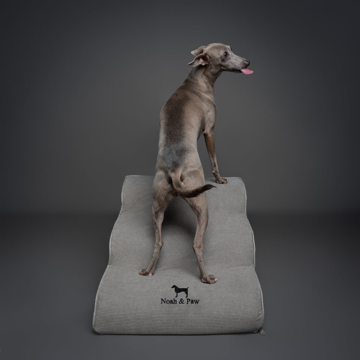 Noah & Paw dog ramp stairs for bed in faux leather, gray, 3 steps