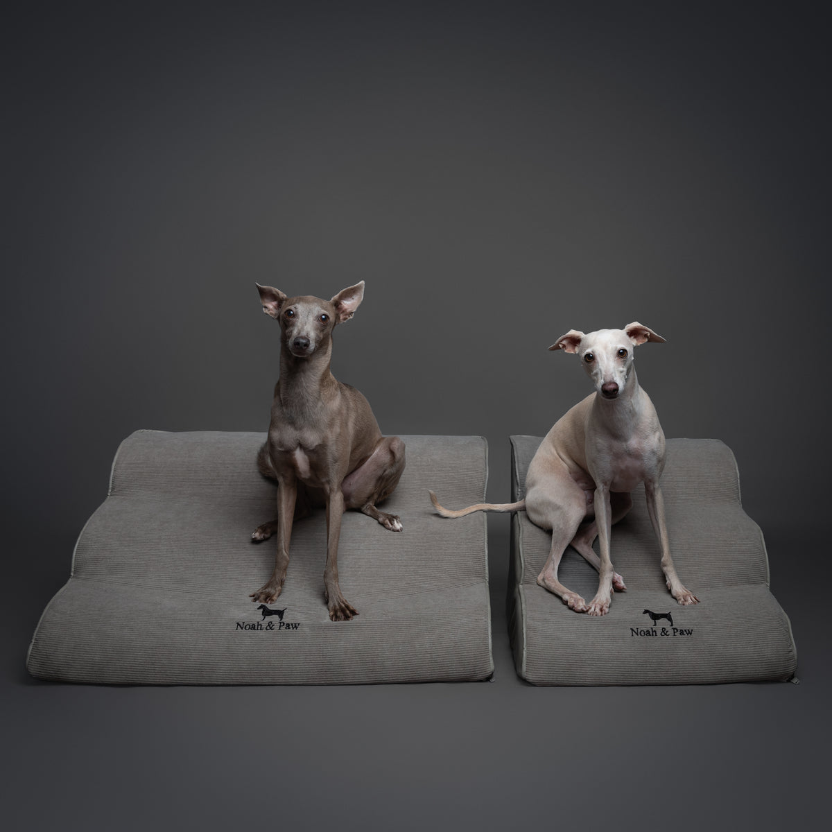 Noah & Paw 27-inch extra wide dog ramp stairs in faux leather, gray, 3 steps
