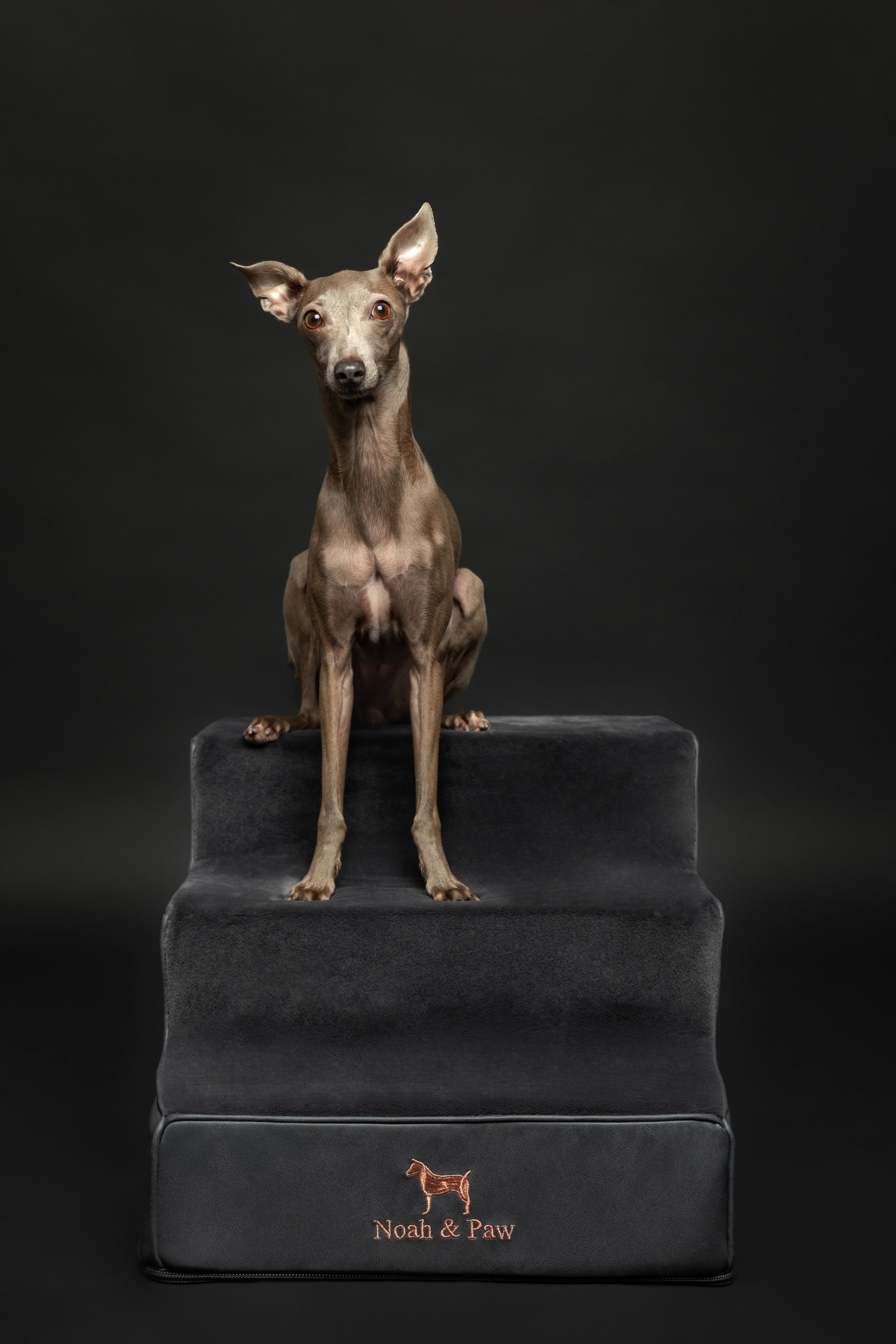 Luxury Dog Stairs For Bed | Faux Leather Pet Steps - Black - 3 Steps