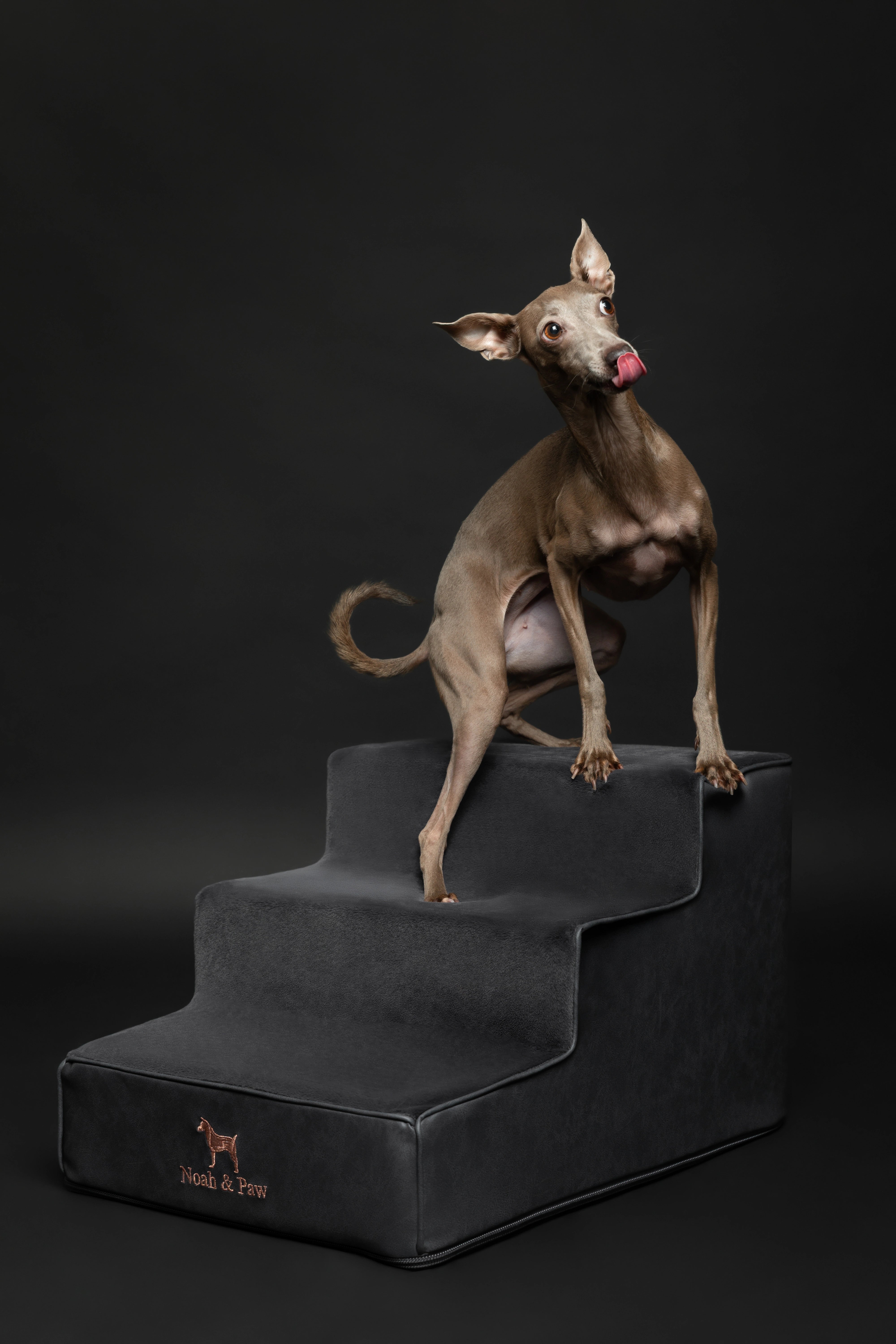 Luxury Dog Stairs For Bed | Faux Leather Pet Steps - Black - 3 Steps