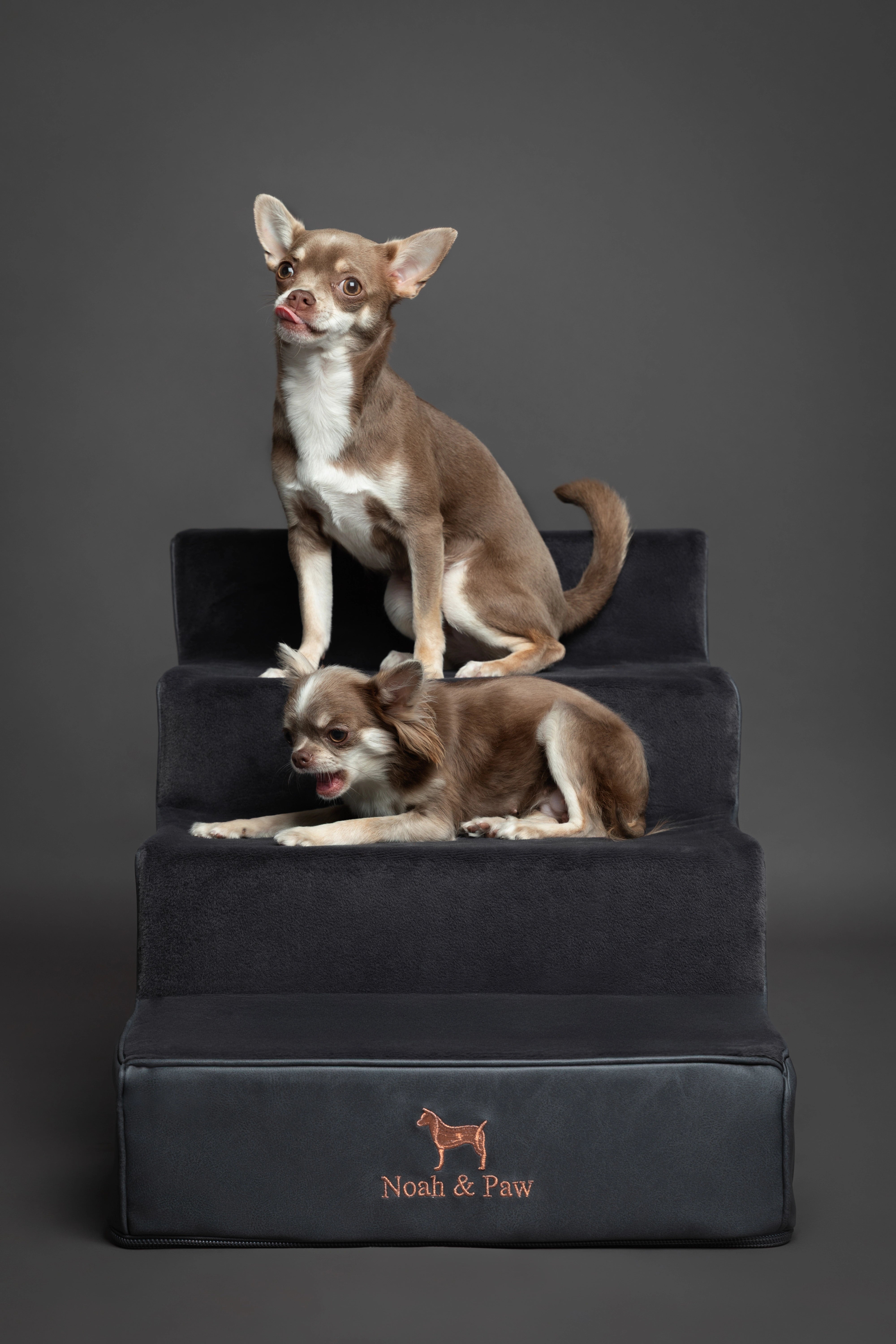 Luxury Dog Stairs For Bed | Faux Leather Pet Steps - Black - 4 Steps