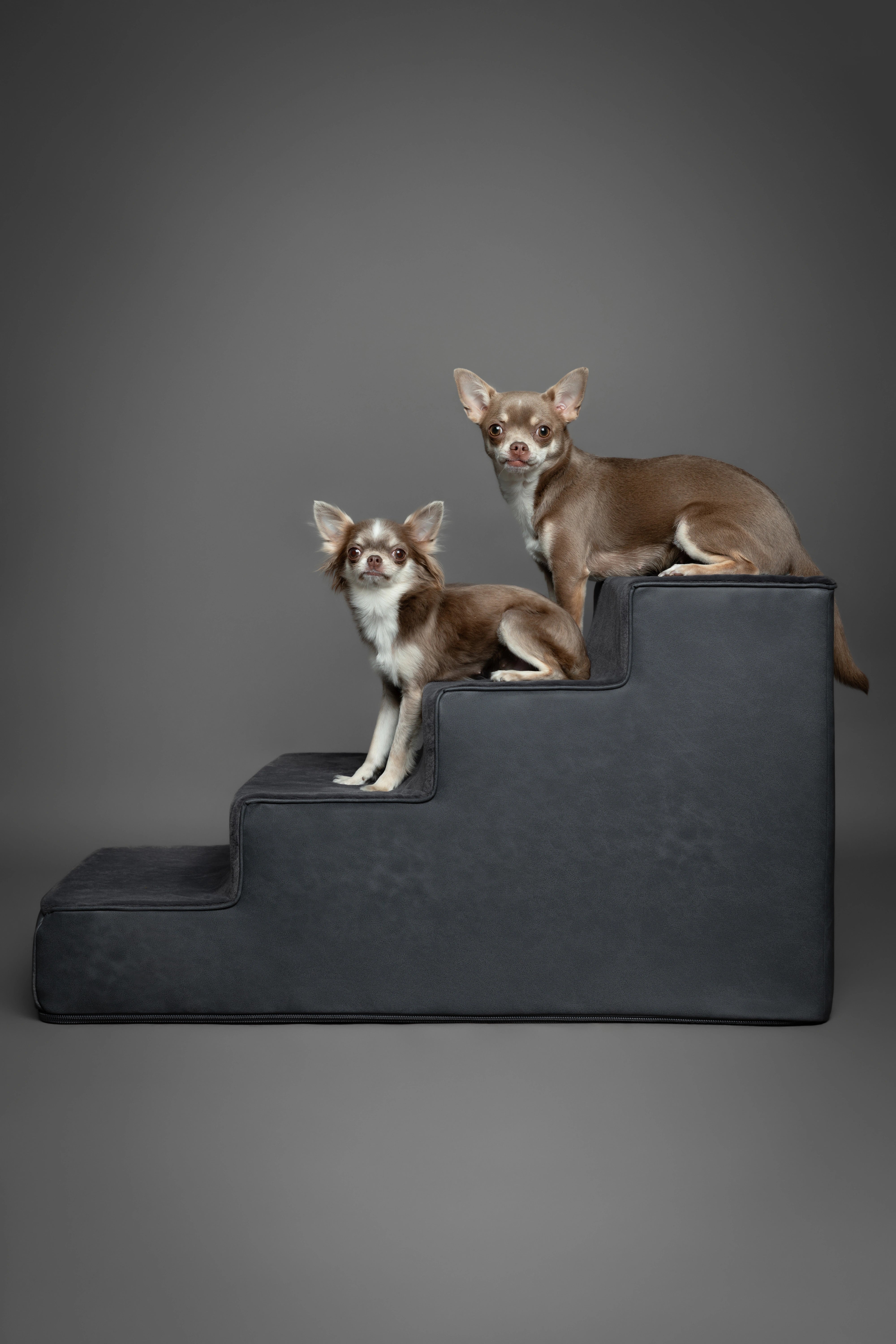 Luxury Dog Stairs For Bed | Faux Leather Pet Steps - Black - 4 Steps