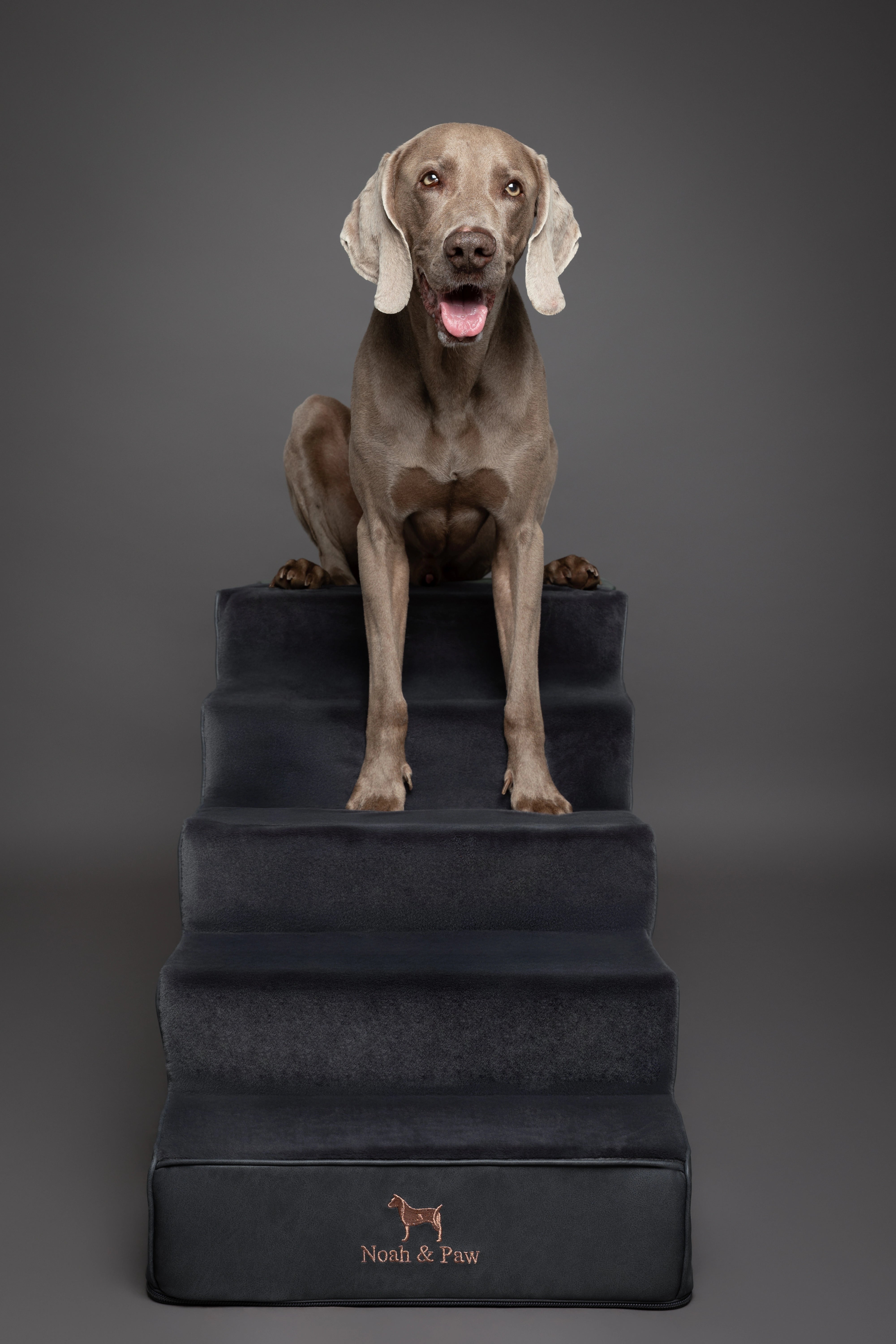 Luxury Dog Stairs For Bed | Faux Leather Pet Steps - Black - 5 Steps