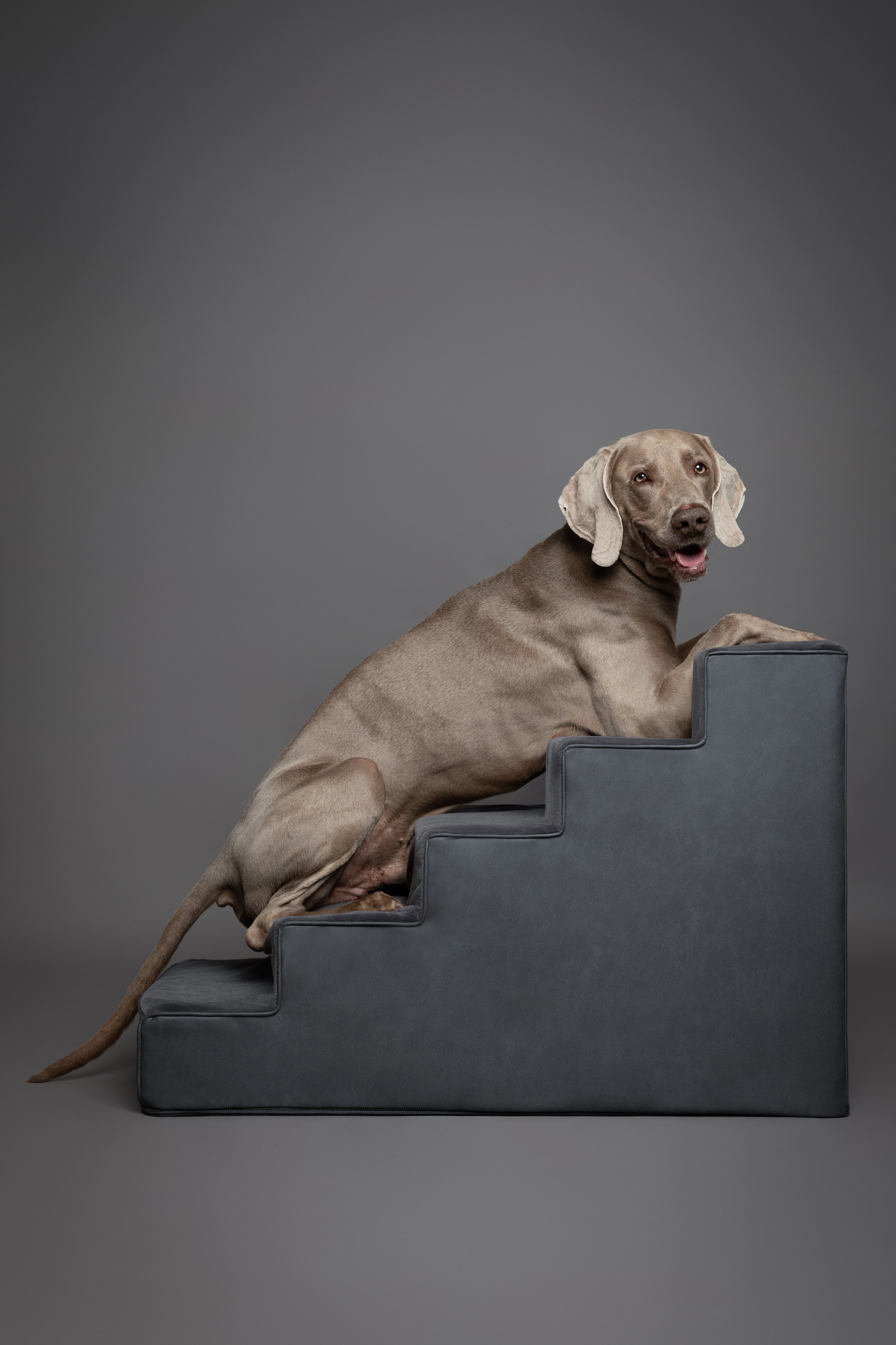 Luxury Dog Stairs For Bed | Faux Leather Pet Steps - Black - 5 Steps