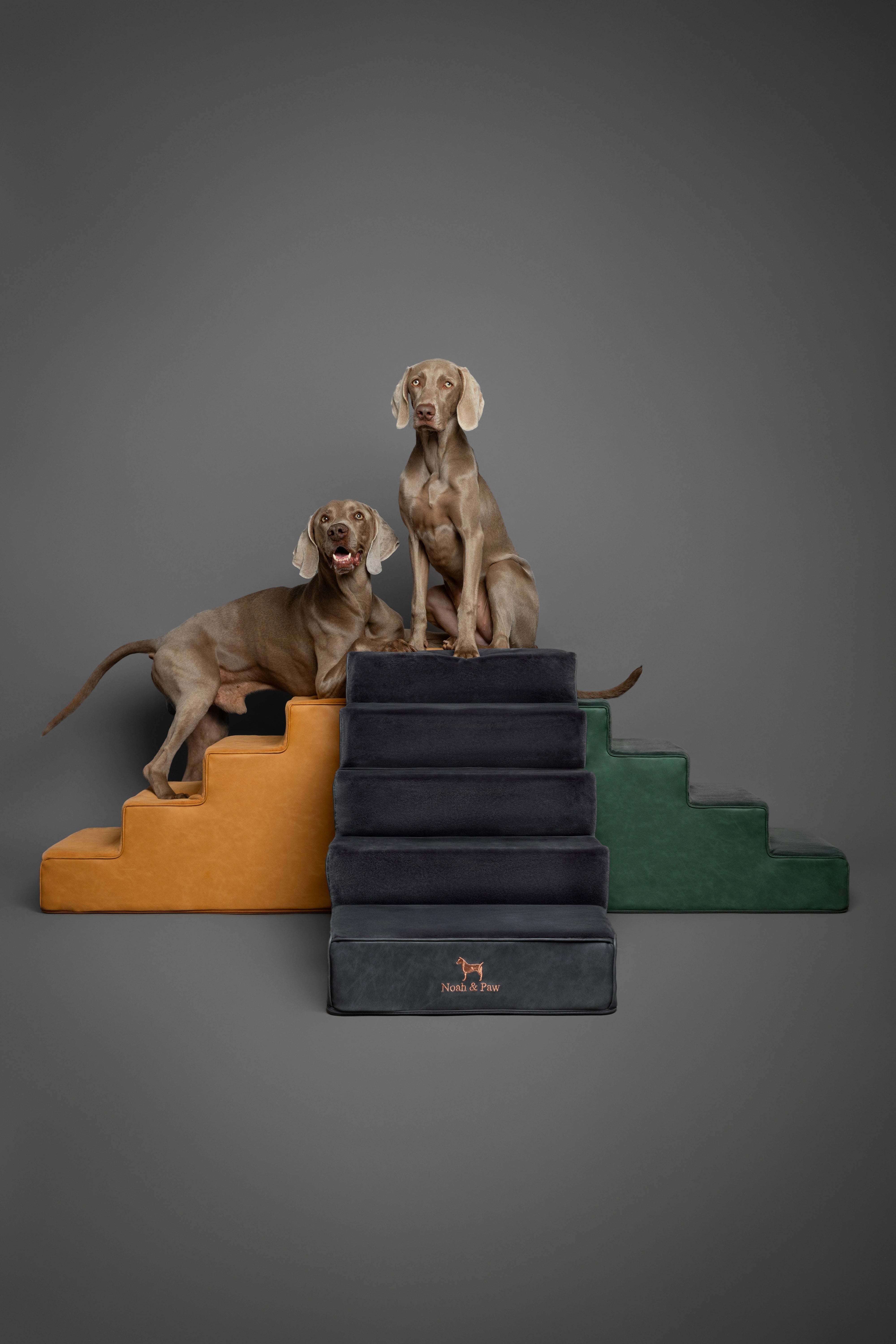 Luxury Dog Stairs For Bed | Faux Leather Pet Steps - Black - 5 Steps