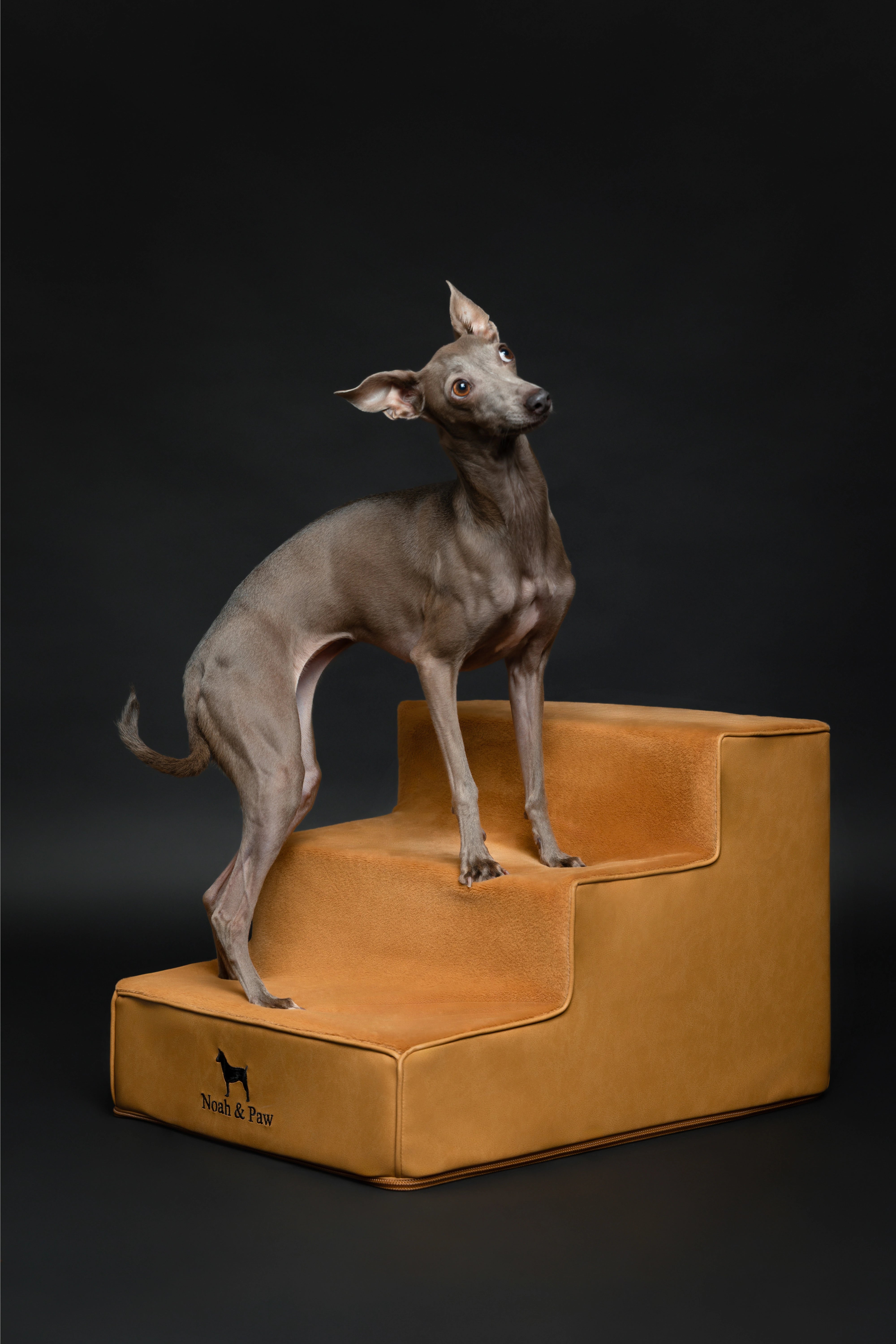 Luxury Dog Stairs For Bed | Faux Leather Pet Steps - Camel - 3 Steps