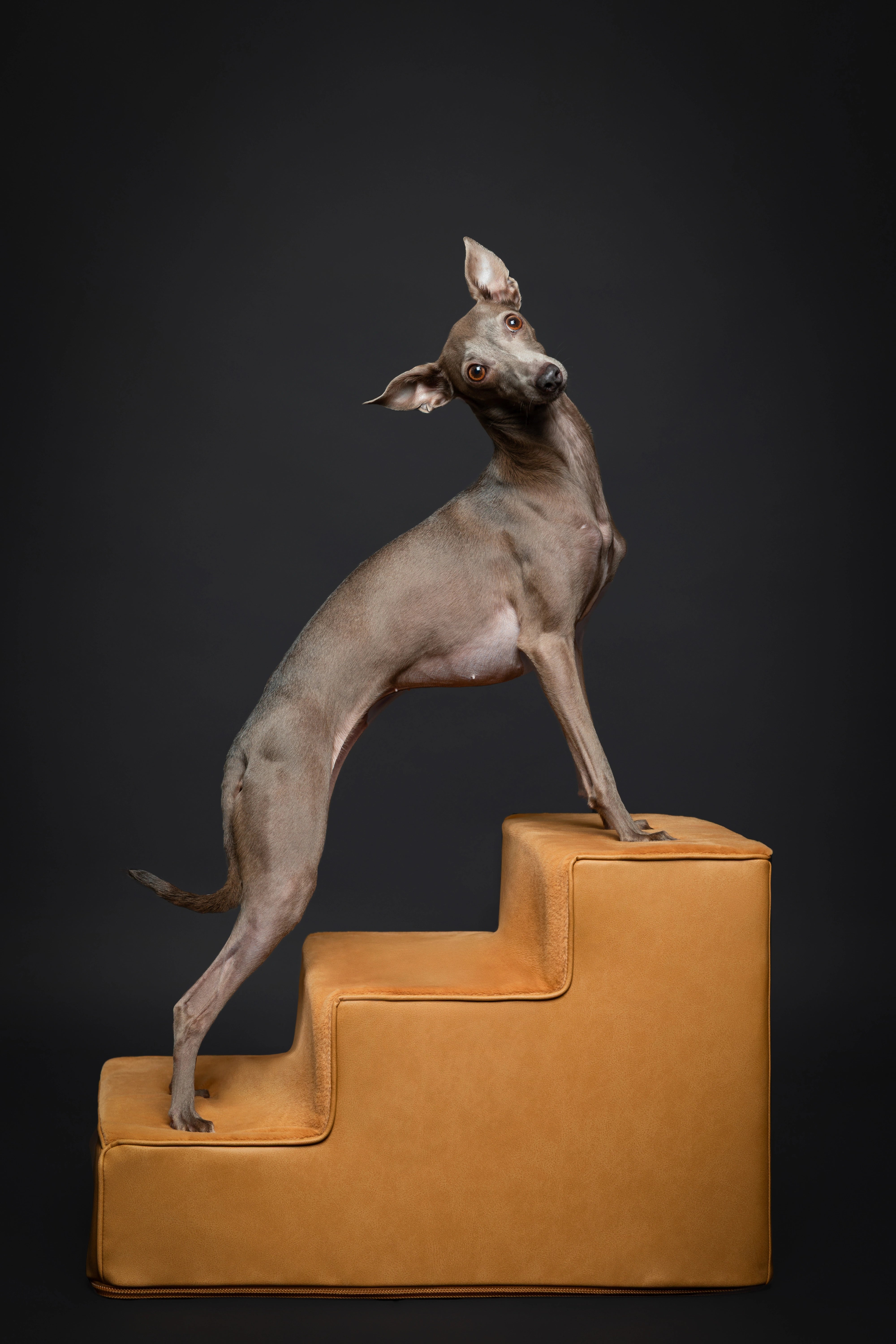 Luxury Dog Stairs For Bed | Faux Leather Pet Steps - Camel - 3 Steps