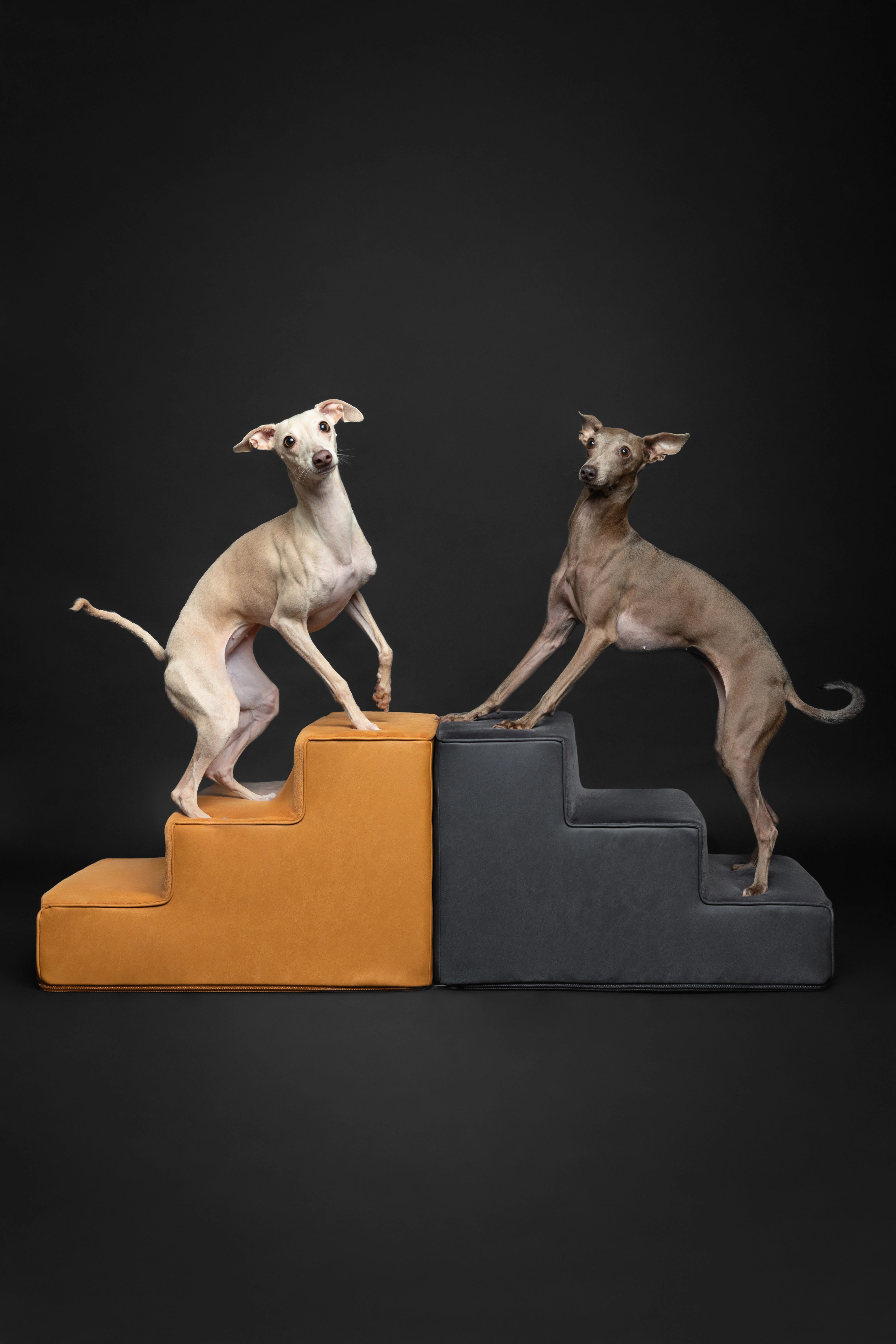 Luxury Dog Stairs For Bed | Faux Leather Pet Steps - Camel - 3 Steps