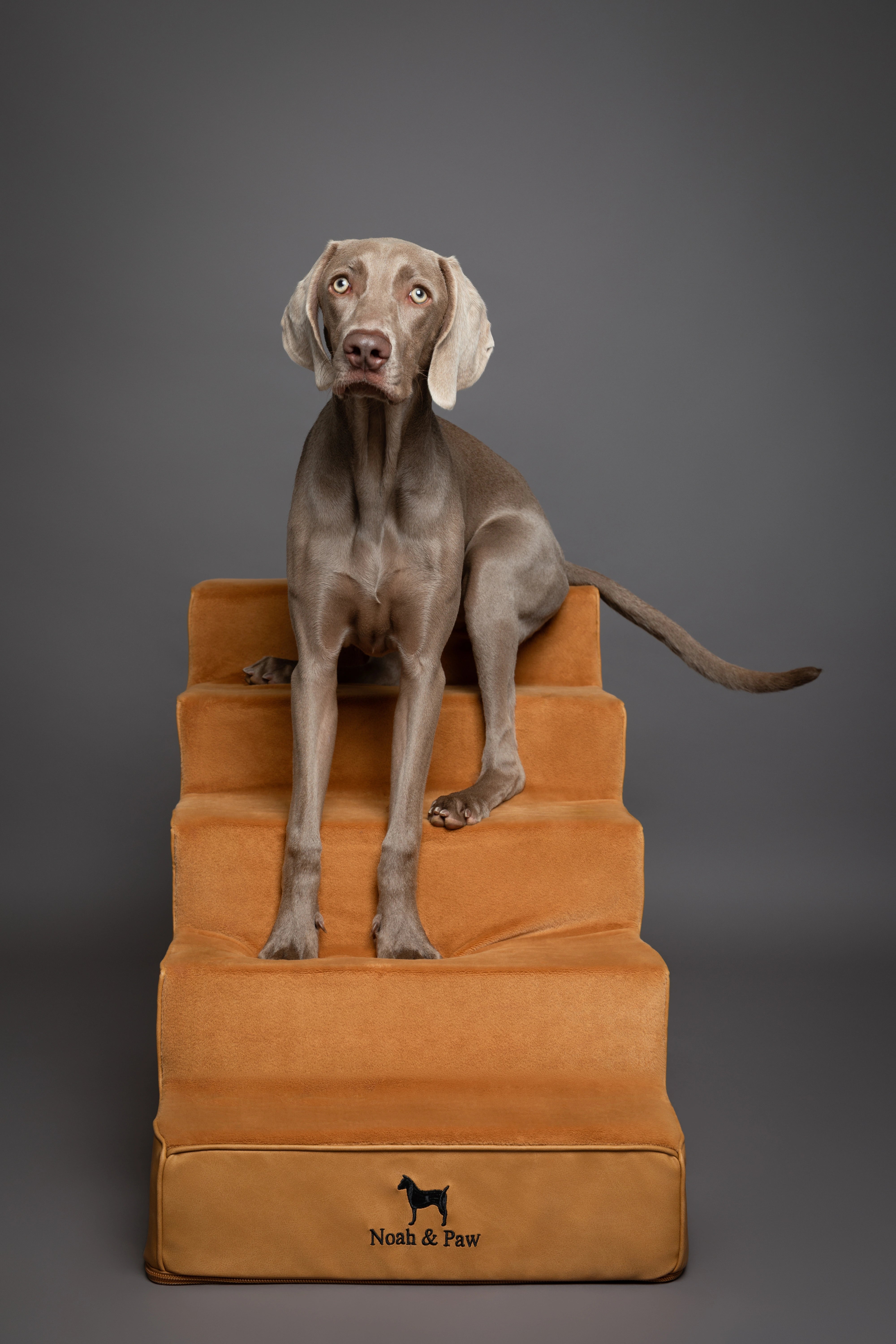 Luxury Dog Stairs For Bed | Faux Leather Pet Steps - Camel - 5 Steps
