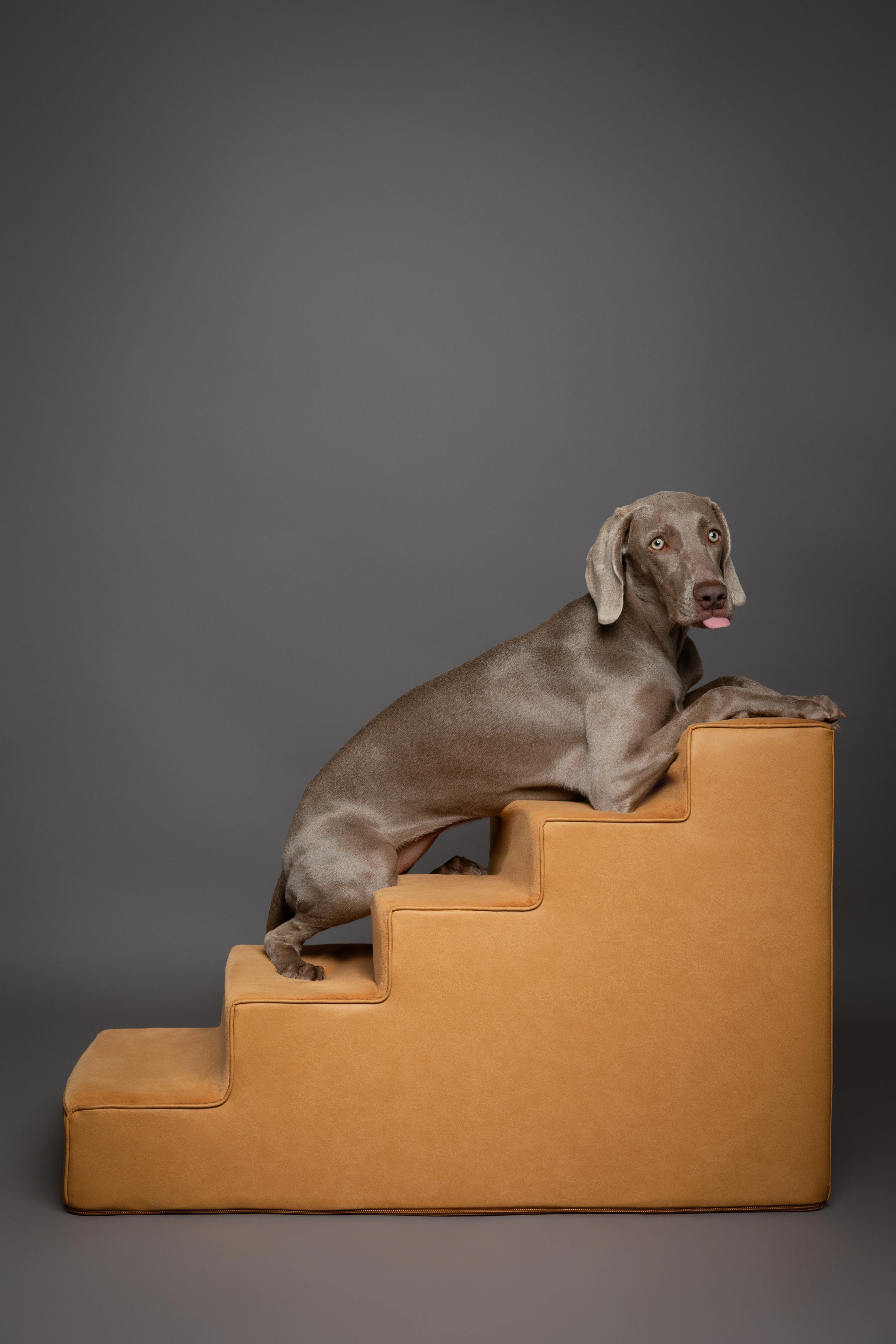 Luxury Dog Stairs For Bed | Faux Leather Pet Steps - Camel - 5 Steps