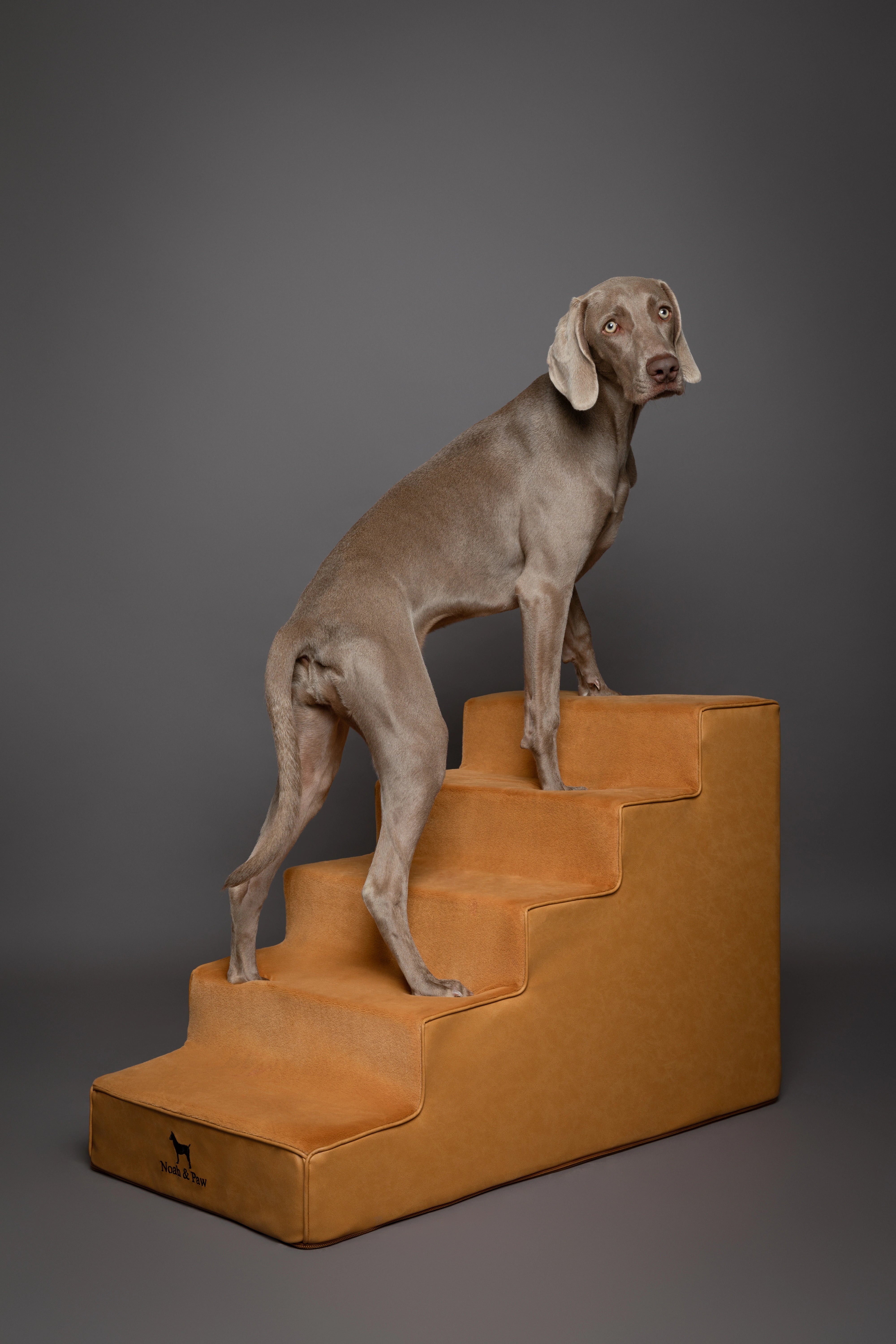 Luxury Dog Stairs For Bed | Faux Leather Pet Steps - Camel - 5 Steps