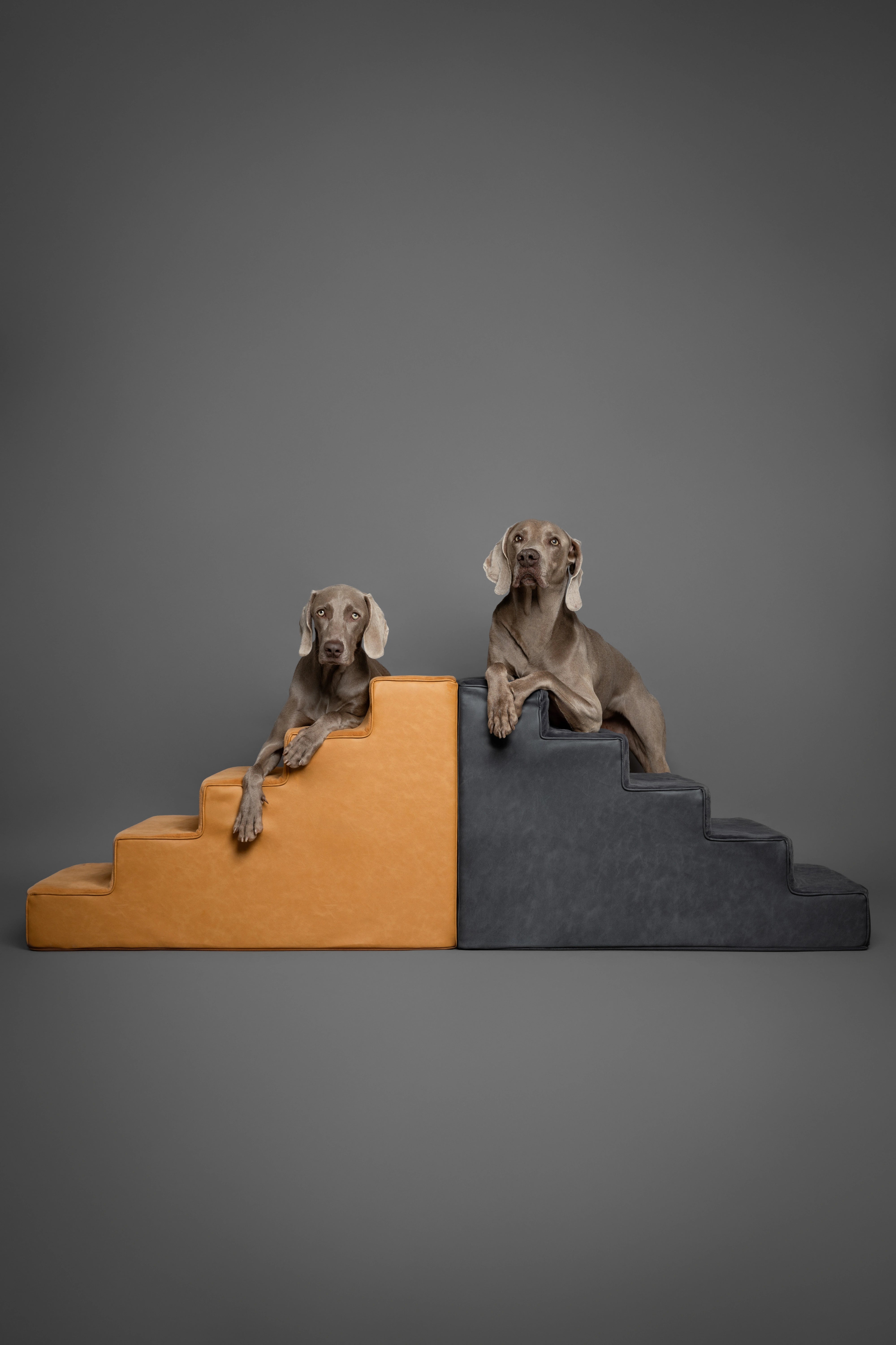 Luxury Dog Stairs For Bed | Faux Leather Pet Steps - Camel - 5 Steps