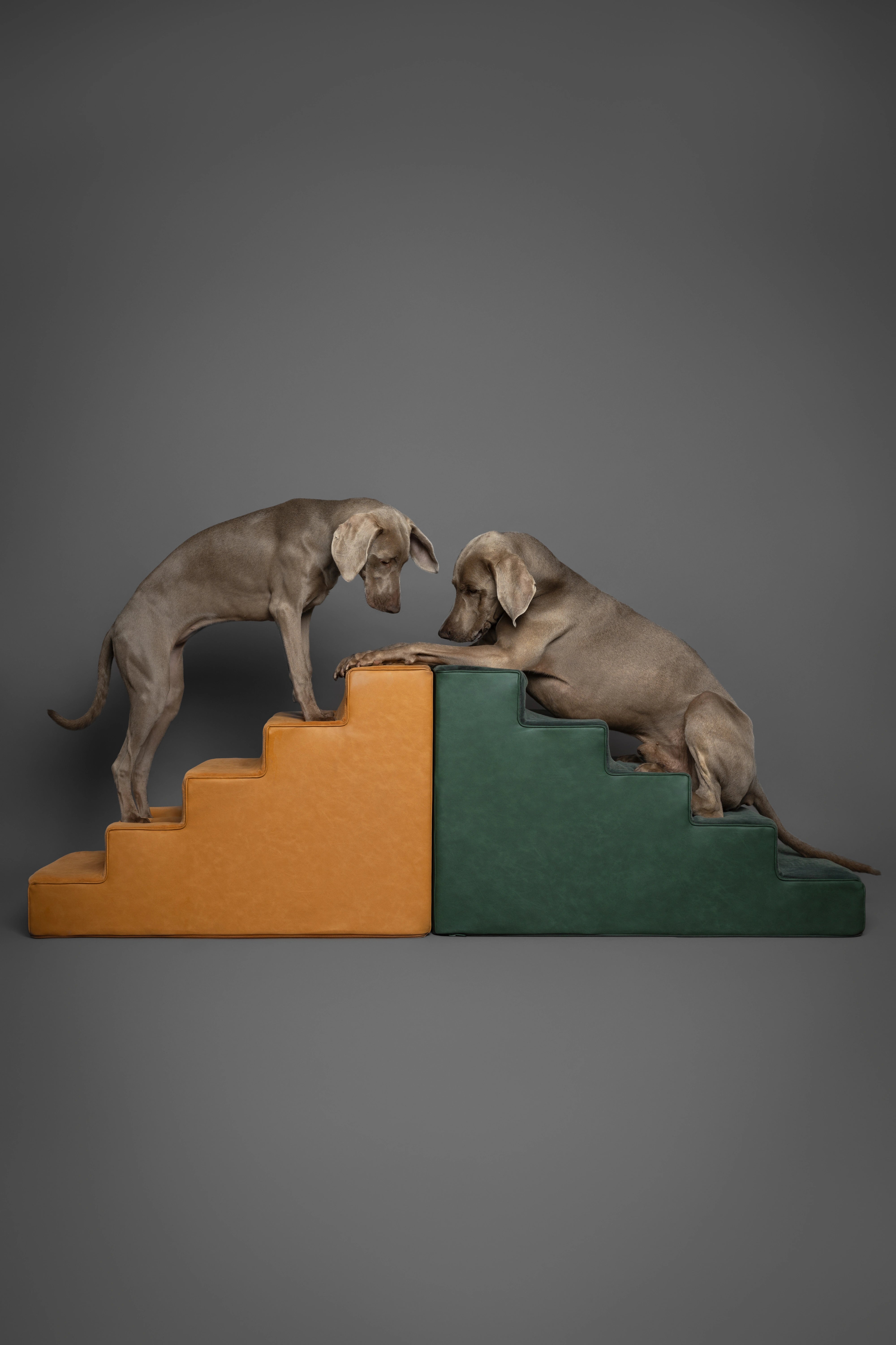 Luxury Dog Stairs For Bed | Faux Leather Pet Steps - Camel - 5 Steps