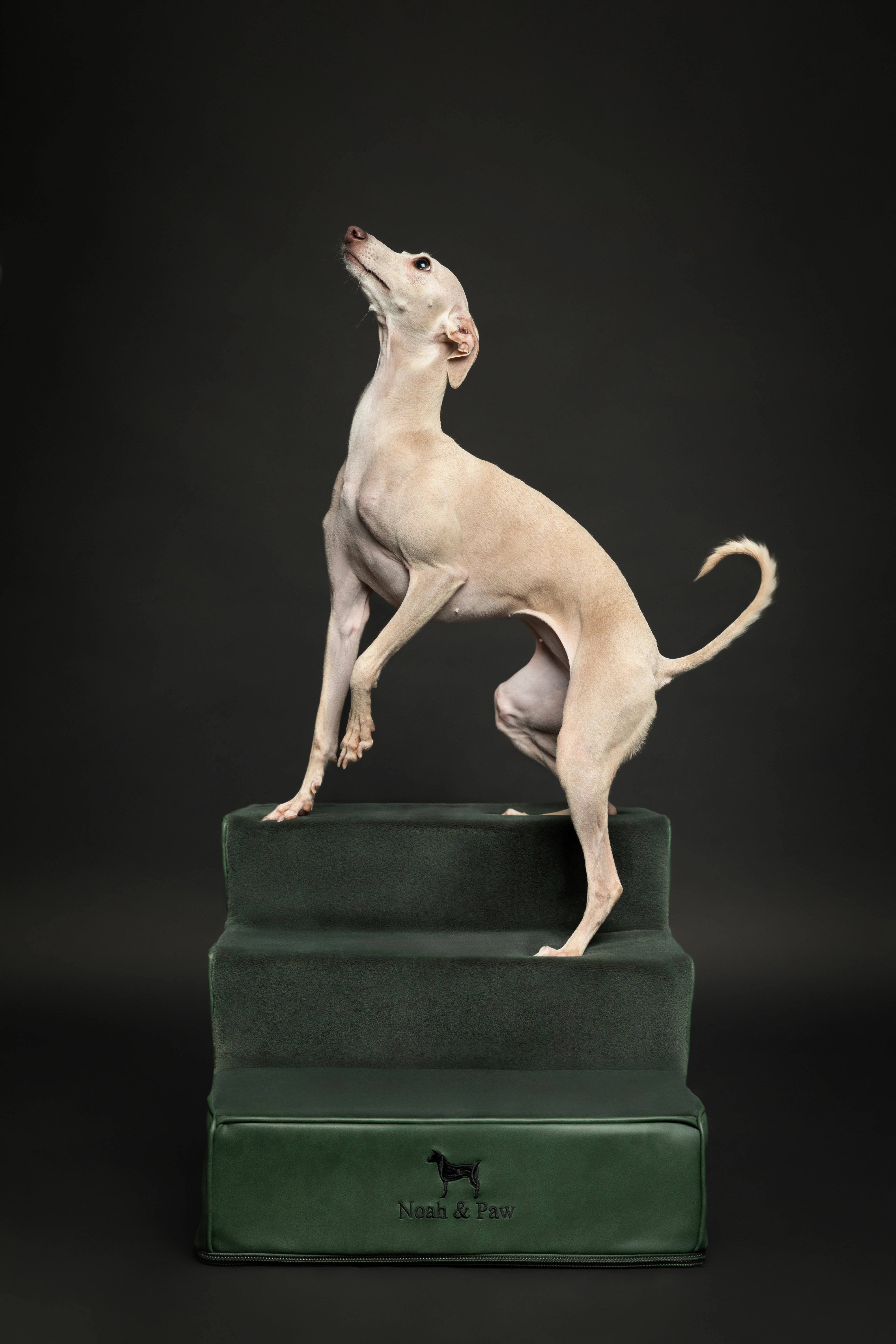 Luxury Dog Stairs For Bed | Faux Leather Pet Steps - Green - 3 Steps