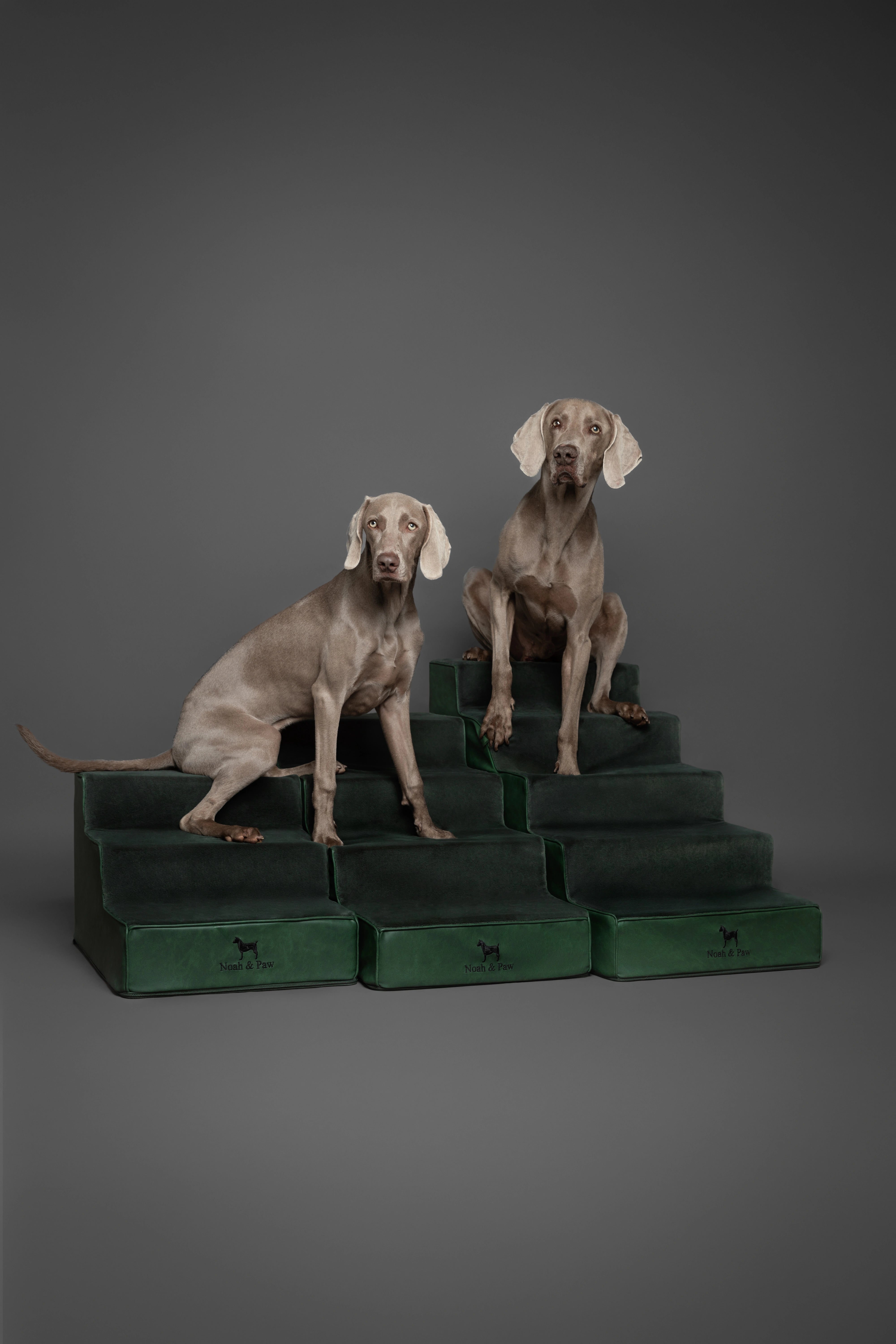 Luxury Dog Stairs For Bed | Faux Leather Pet Steps - Green - 3 Steps