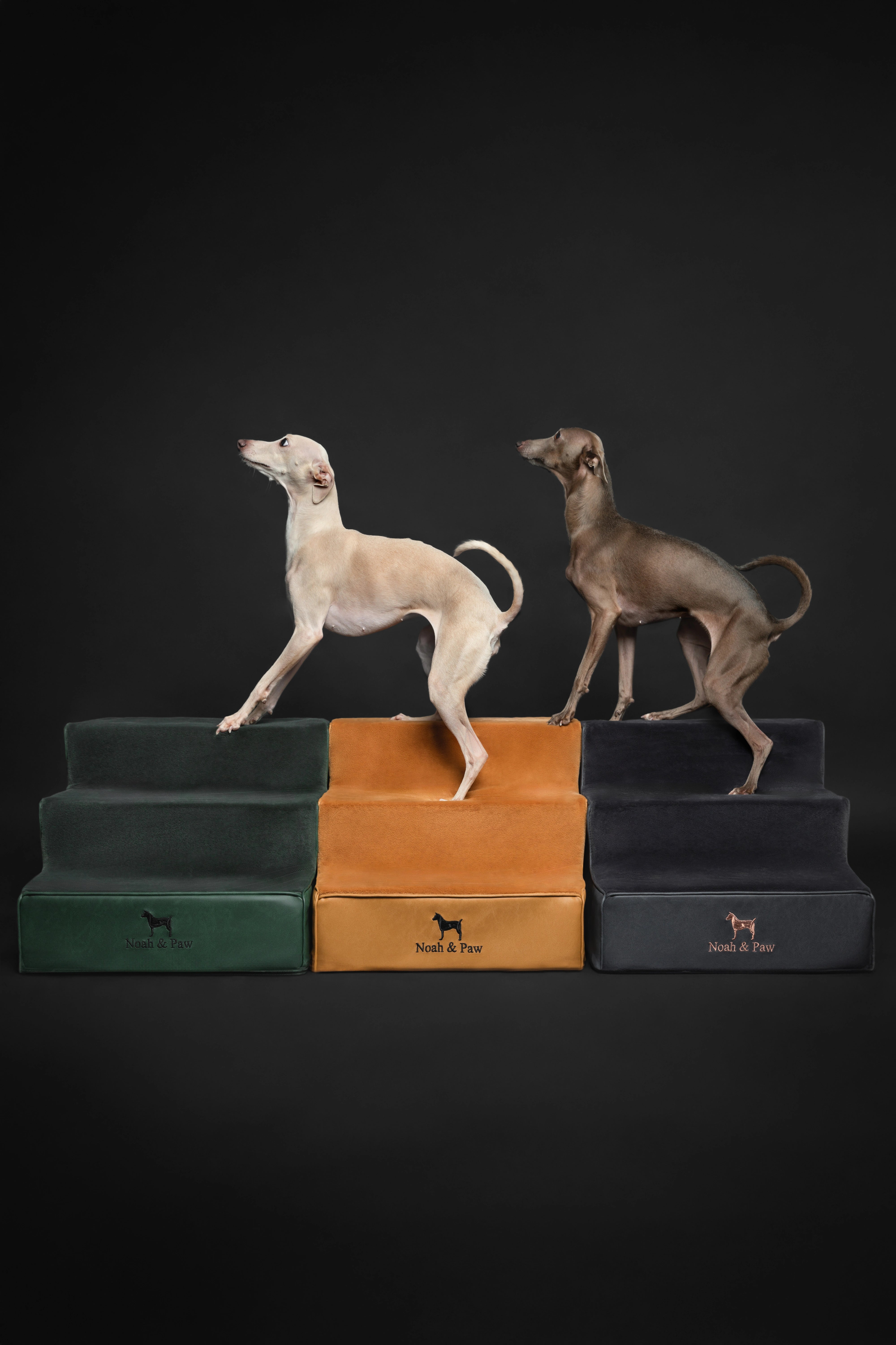 Luxury Dog Stairs For Bed | Faux Leather Pet Steps - Green - 3 Steps