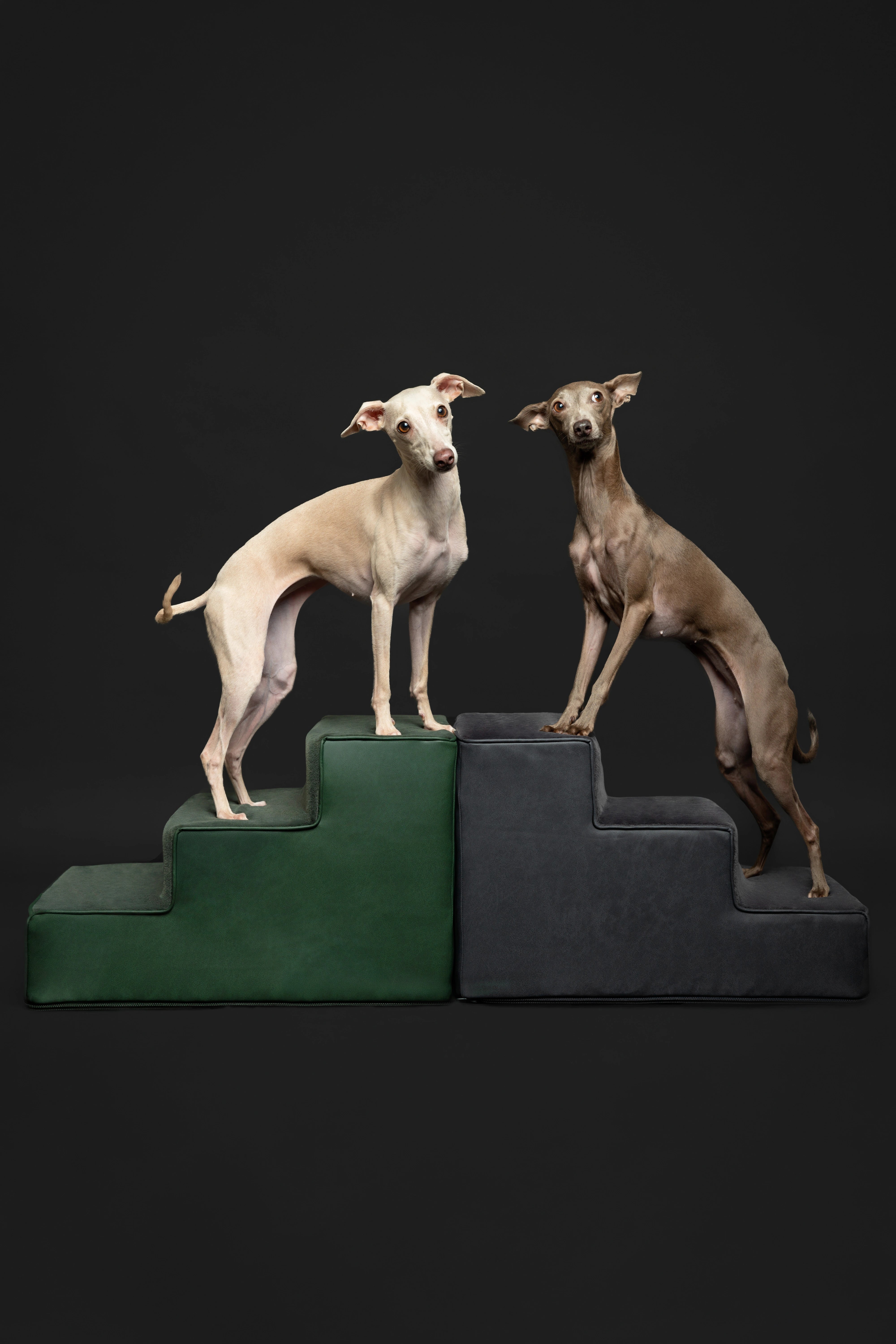 Luxury Dog Stairs For Bed | Faux Leather Pet Steps - Green - 3 Steps