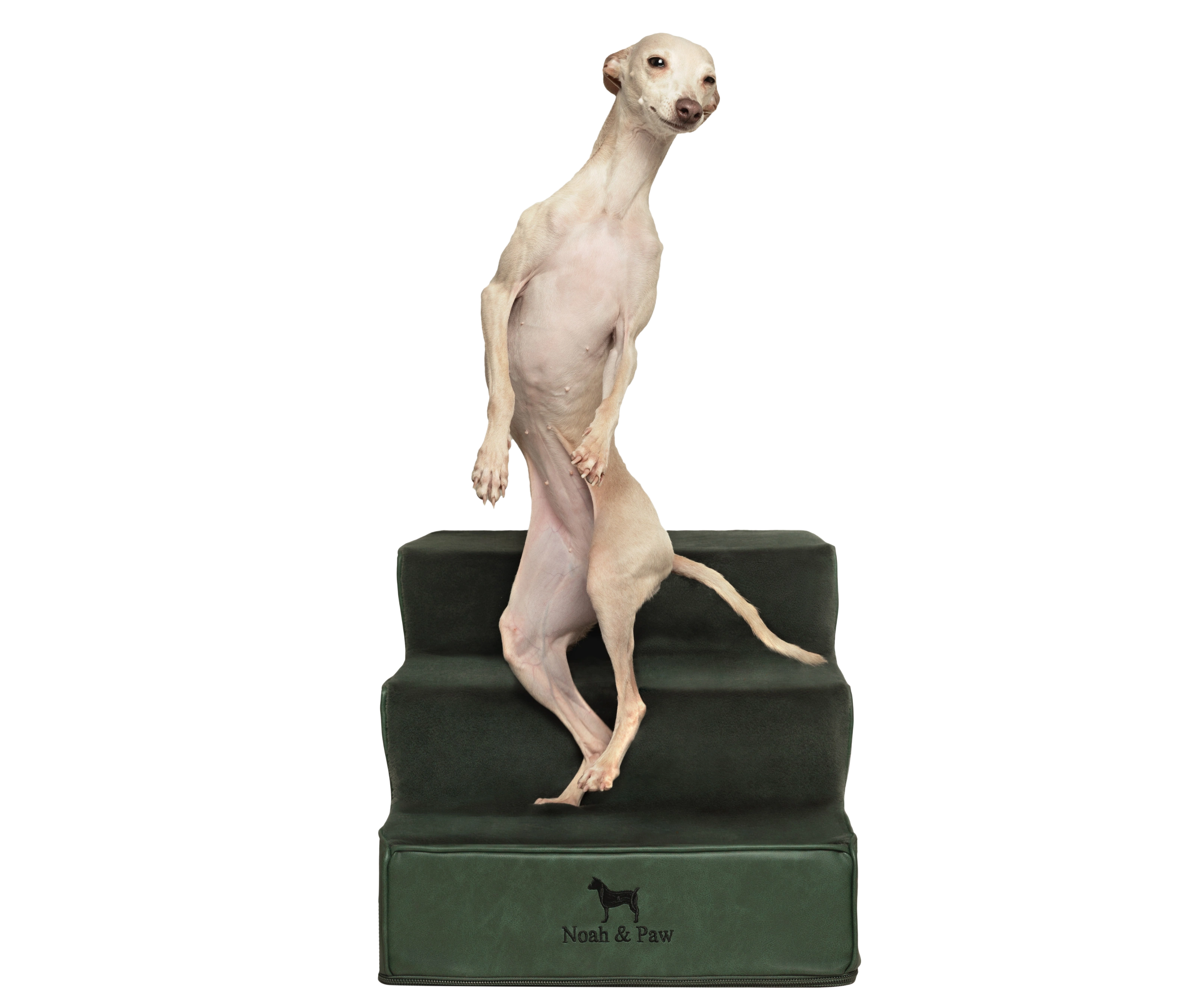 Luxury Dog Stairs For Bed | Faux Leather Pet Steps - Green - 3 Steps