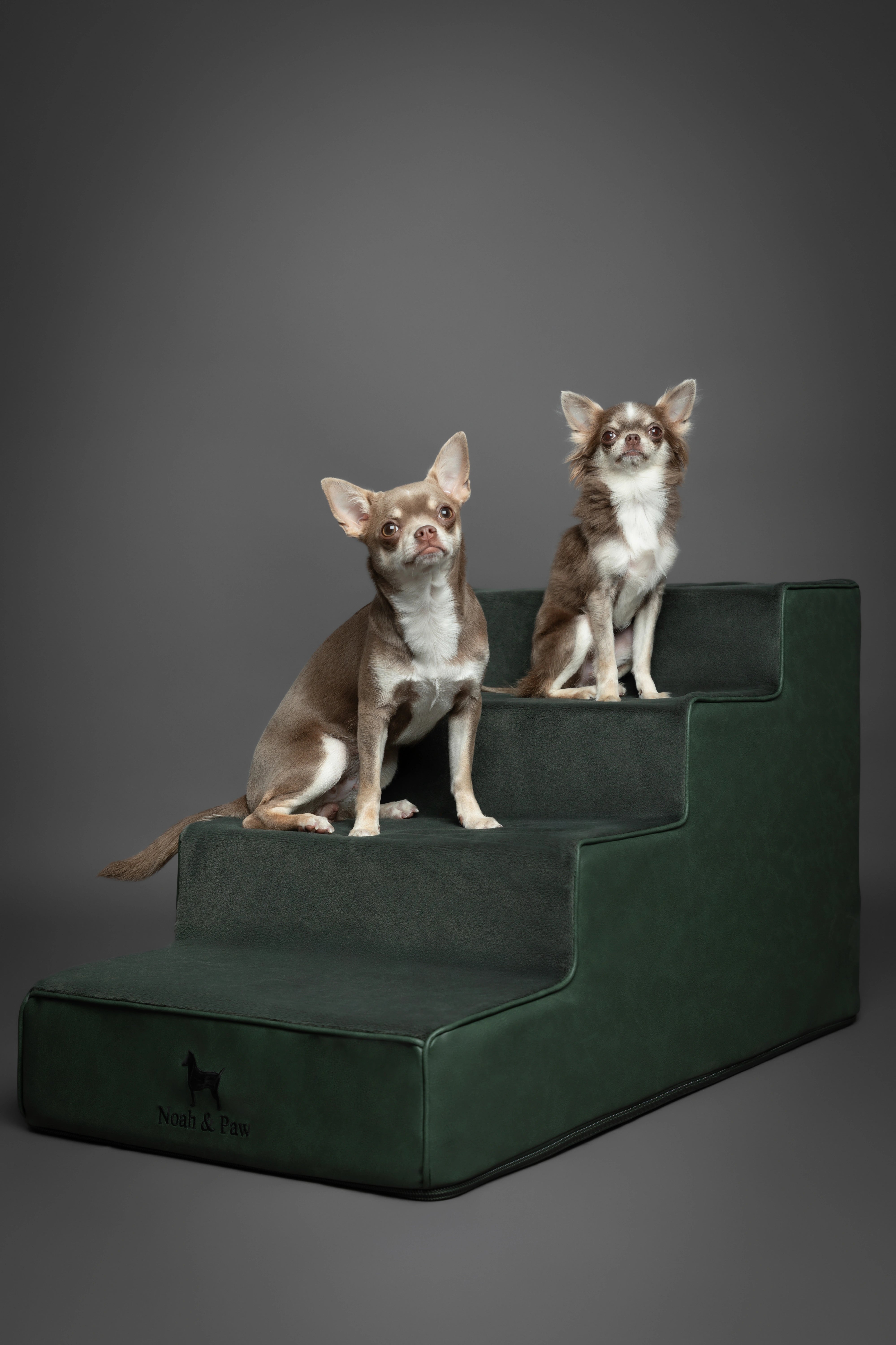 Luxury Dog Stairs For Bed | Faux Leather Pet Steps - Green - 4 Steps