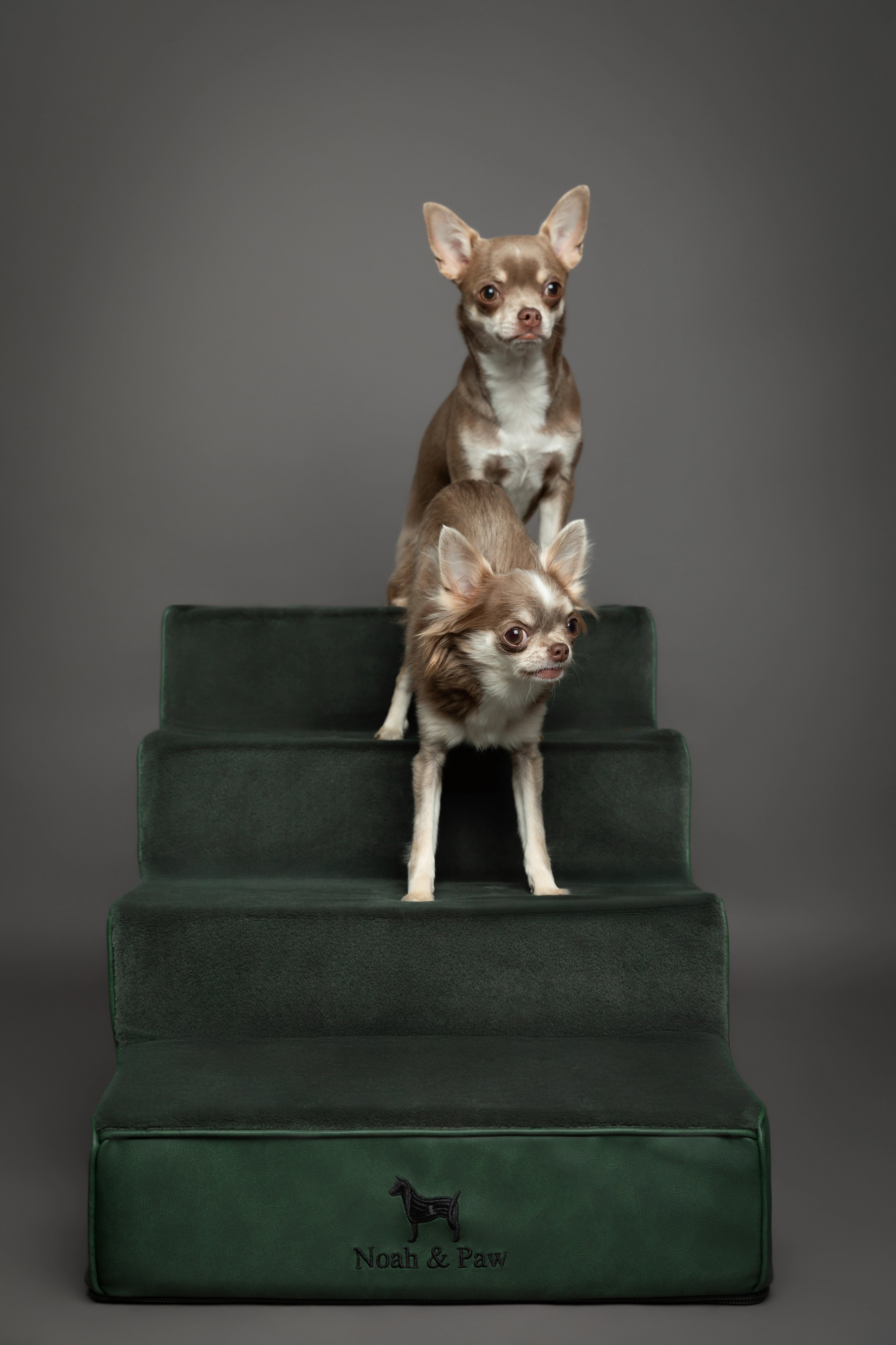 Luxury Dog Stairs For Bed | Faux Leather Pet Steps - Green - 4 Steps