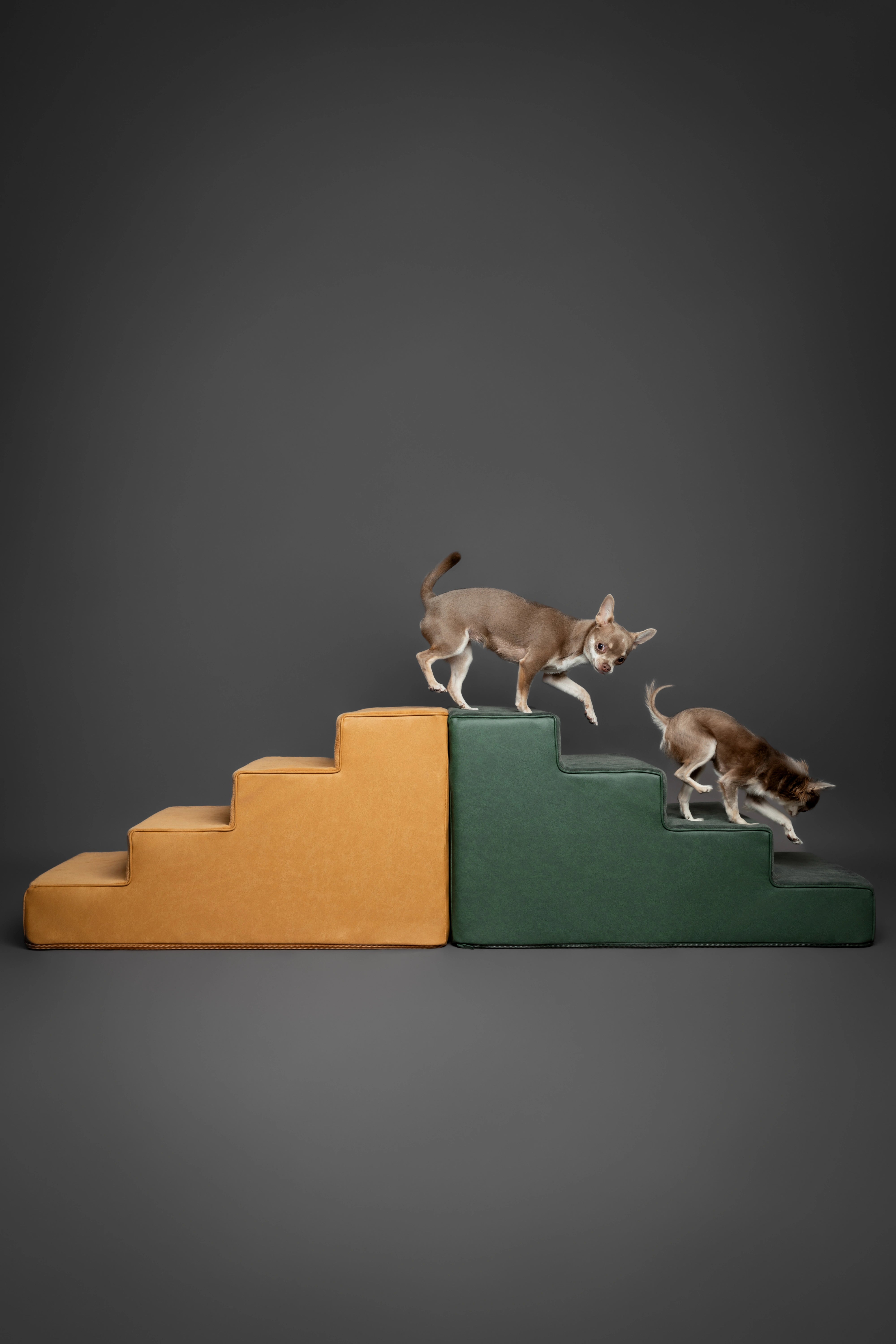 Luxury Dog Stairs For Bed | Faux Leather Pet Steps - Green - 4 Steps