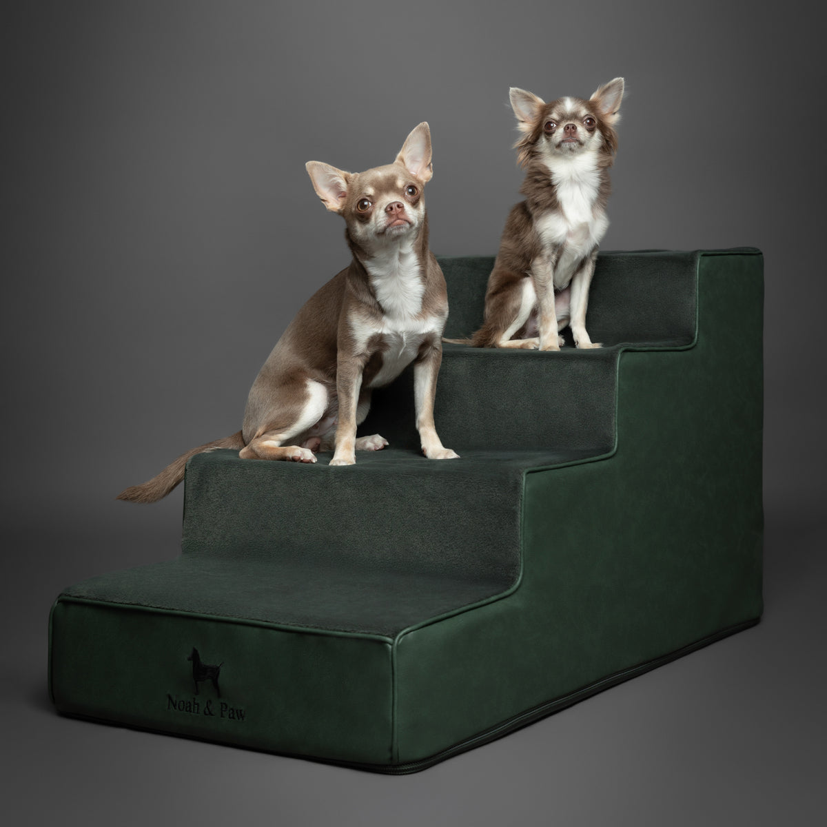 Noah & Paw luxury dog stairs for bed in faux leather, dark green, 4 steps