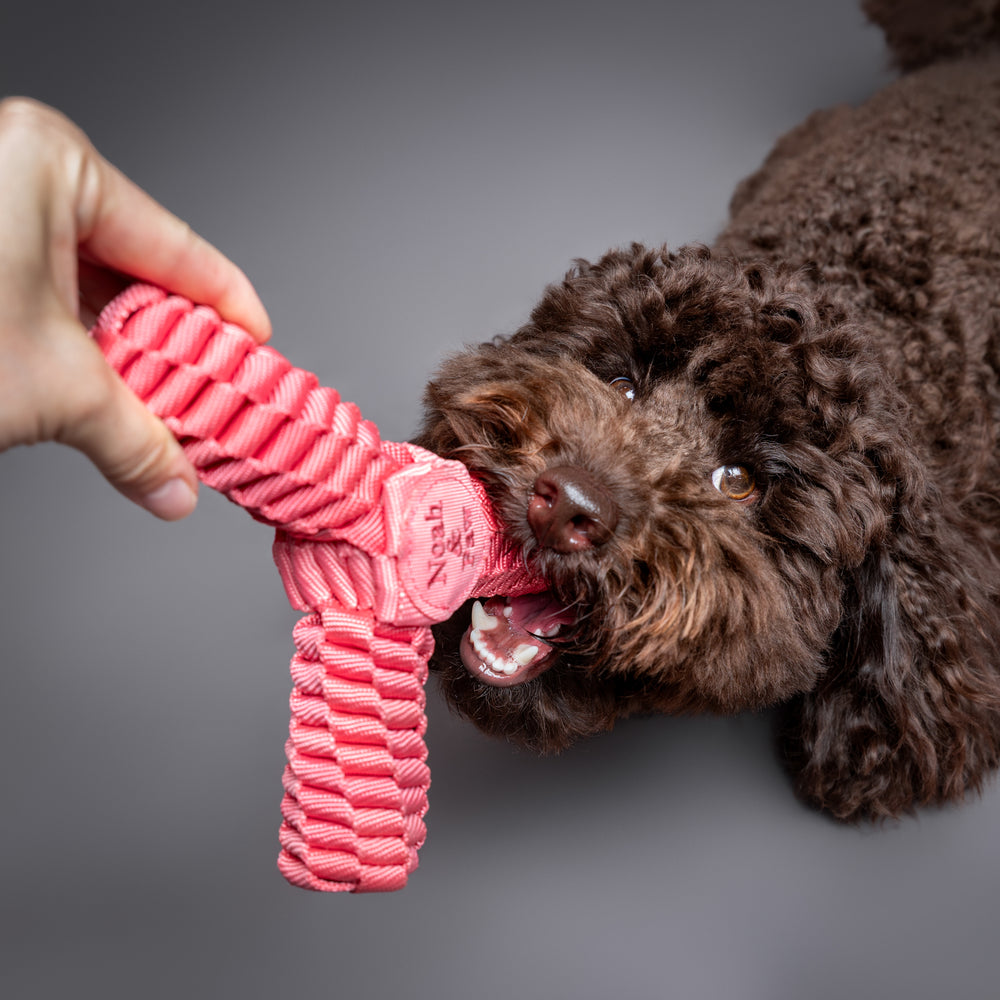 Noah & Paw stretchy rope dog toy gift basket, full set, pink