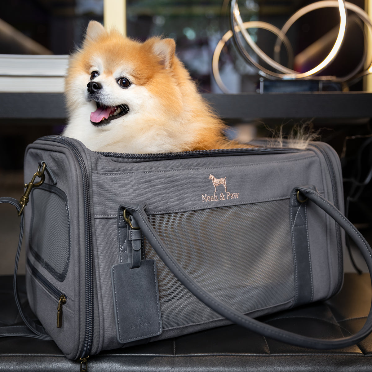Noah & Paw TSA-approved soft pet carrier for airline travel in canvas, gray