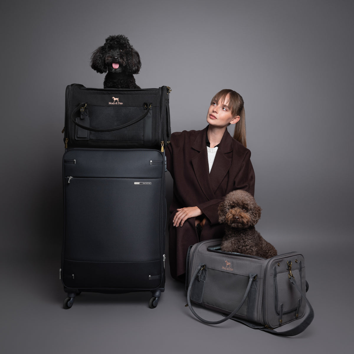 Noah & Paw TSA-approved soft pet carrier for airline travel in canvas, gray