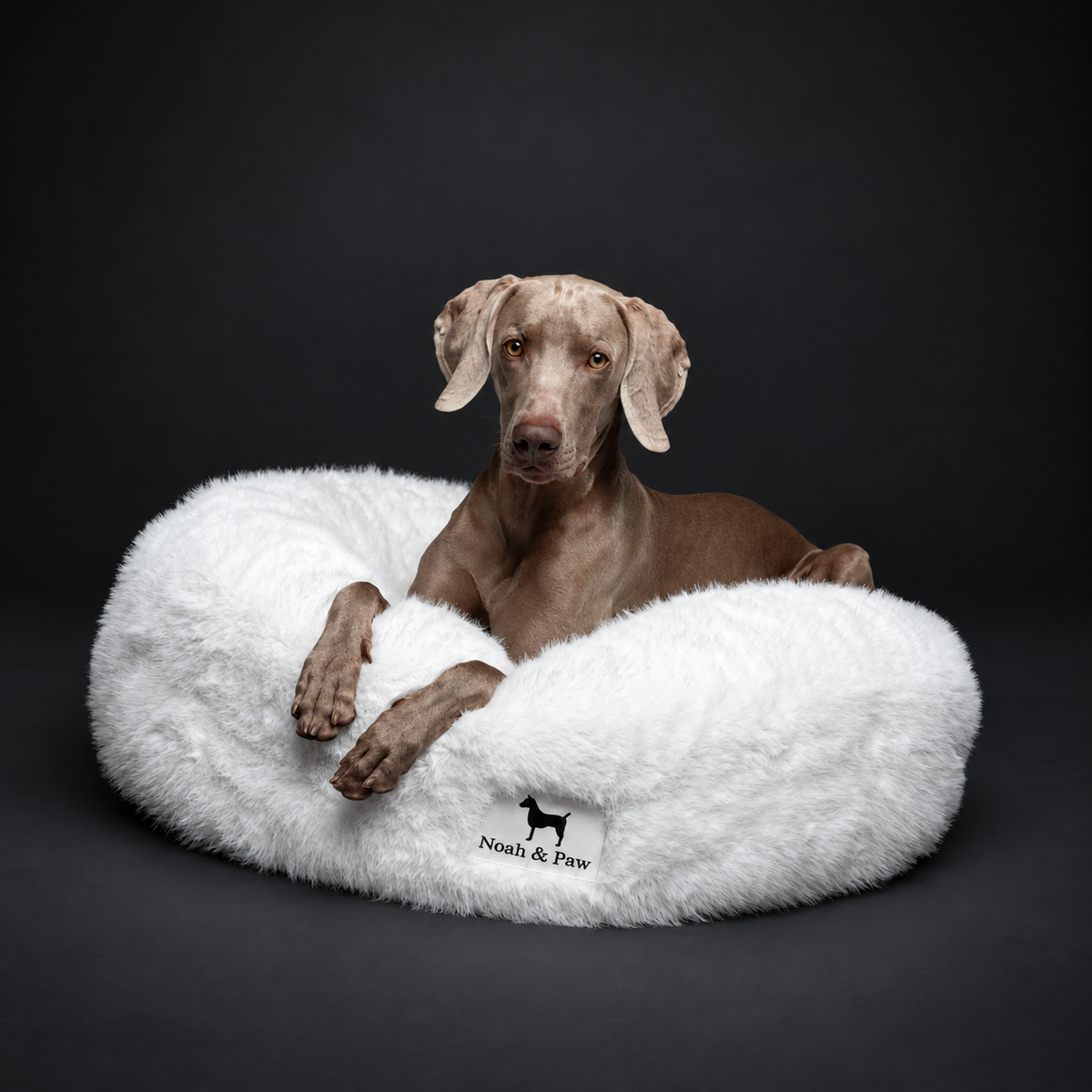 White donut dog bed, faux fur, Noah & Paw