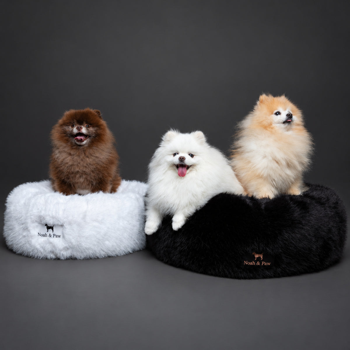 Dogs in Noah & Paw black and white faux fur donut beds