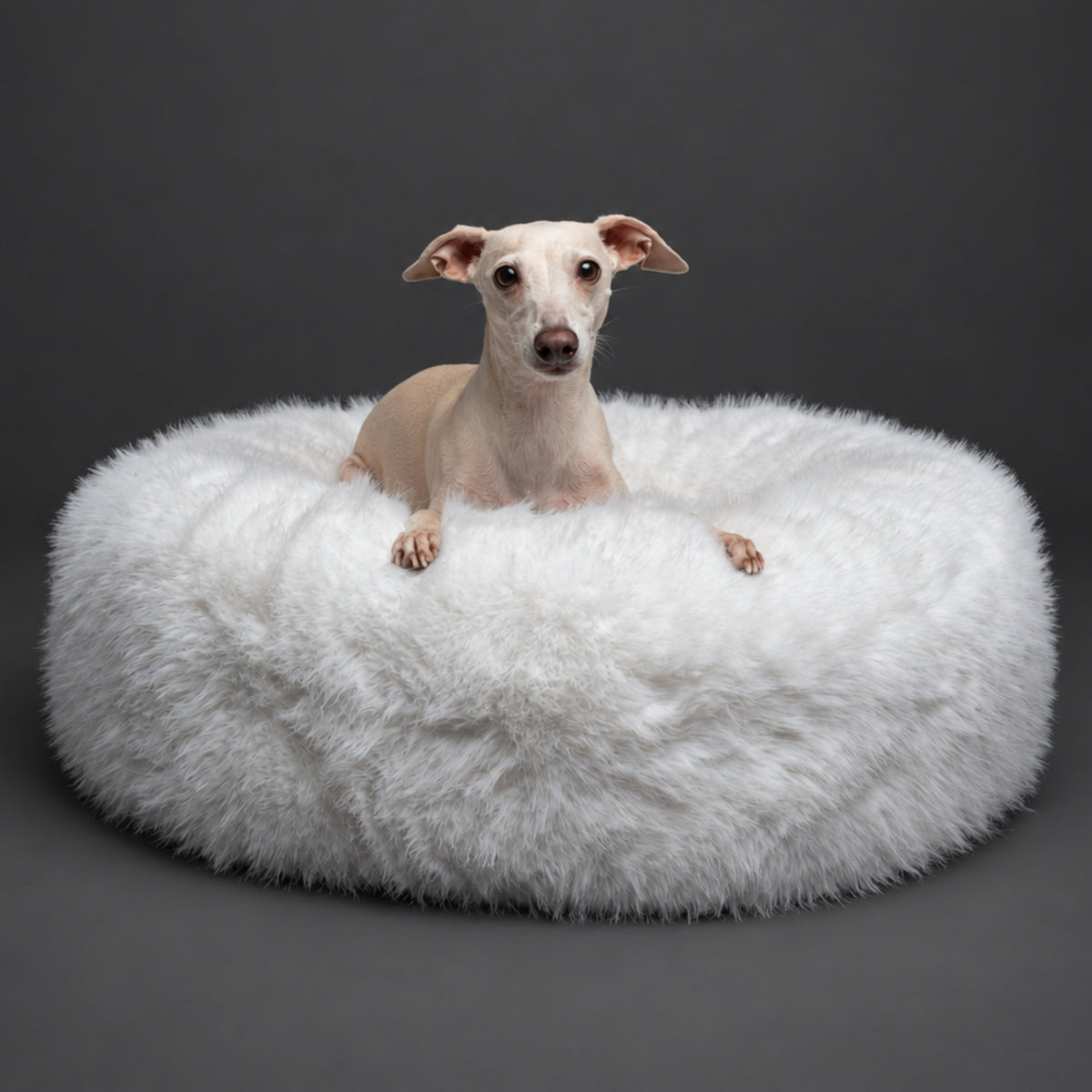 Dogs in Noah & Paw white faux fur donut beds