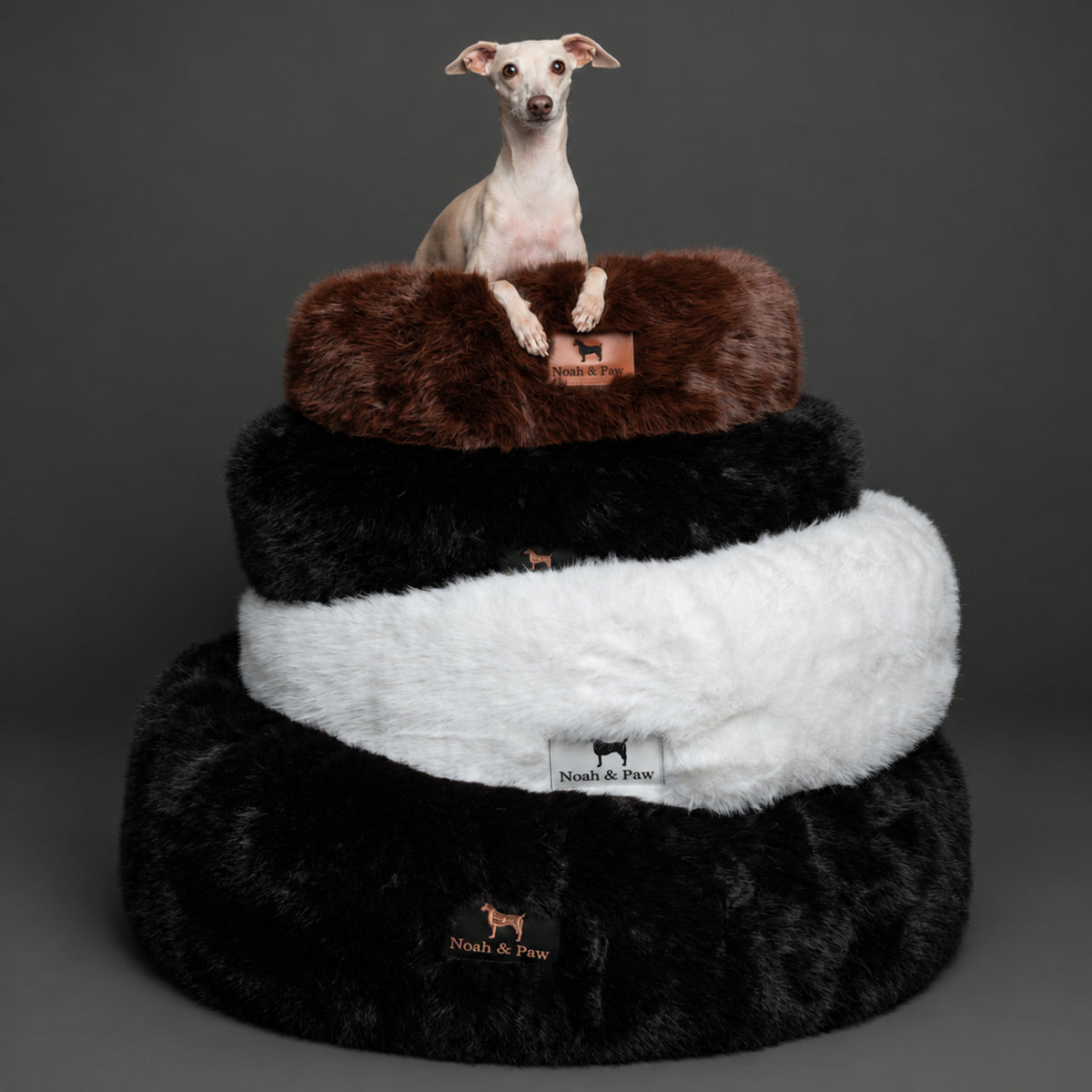 Dogs in Noah & Paw black and white and brown faux fur donut beds