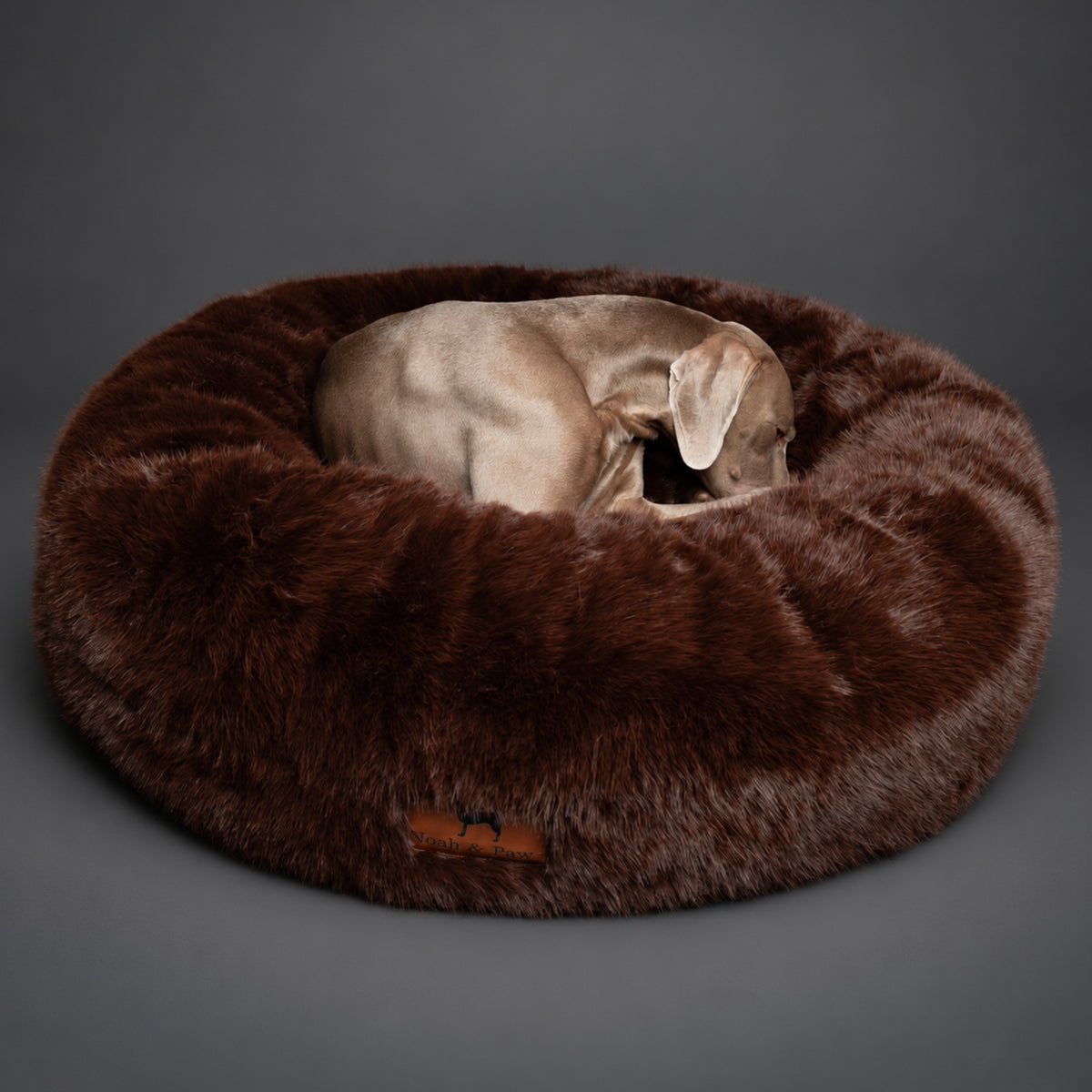 Dogs in Noah & Paw brown faux fur donut beds