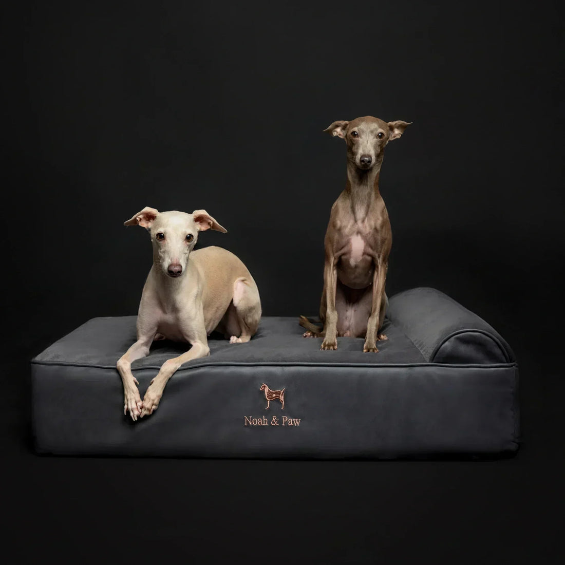 Noah & Paw orthopedic dog beds