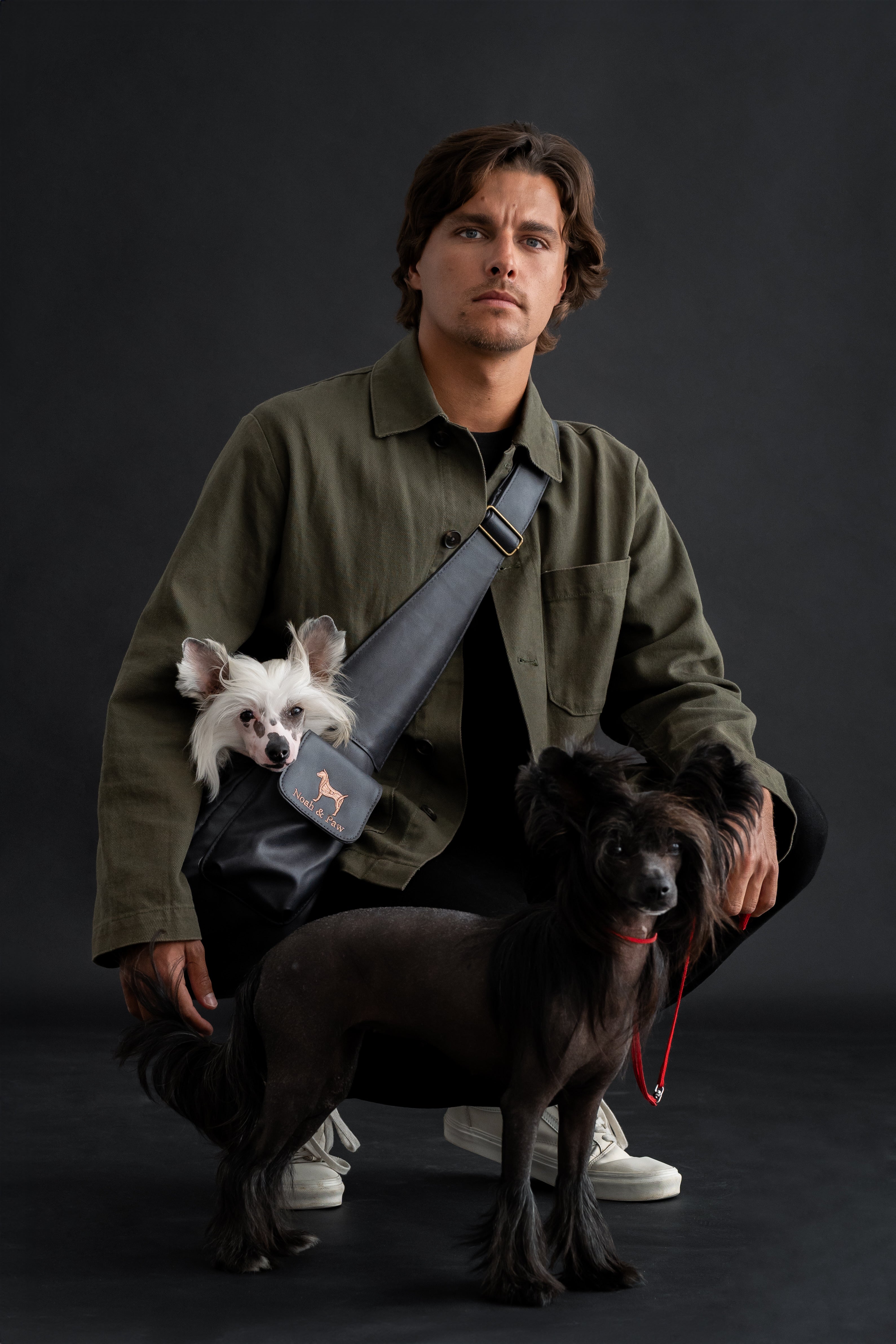 Best Dog Carrier Sling for Your Pet