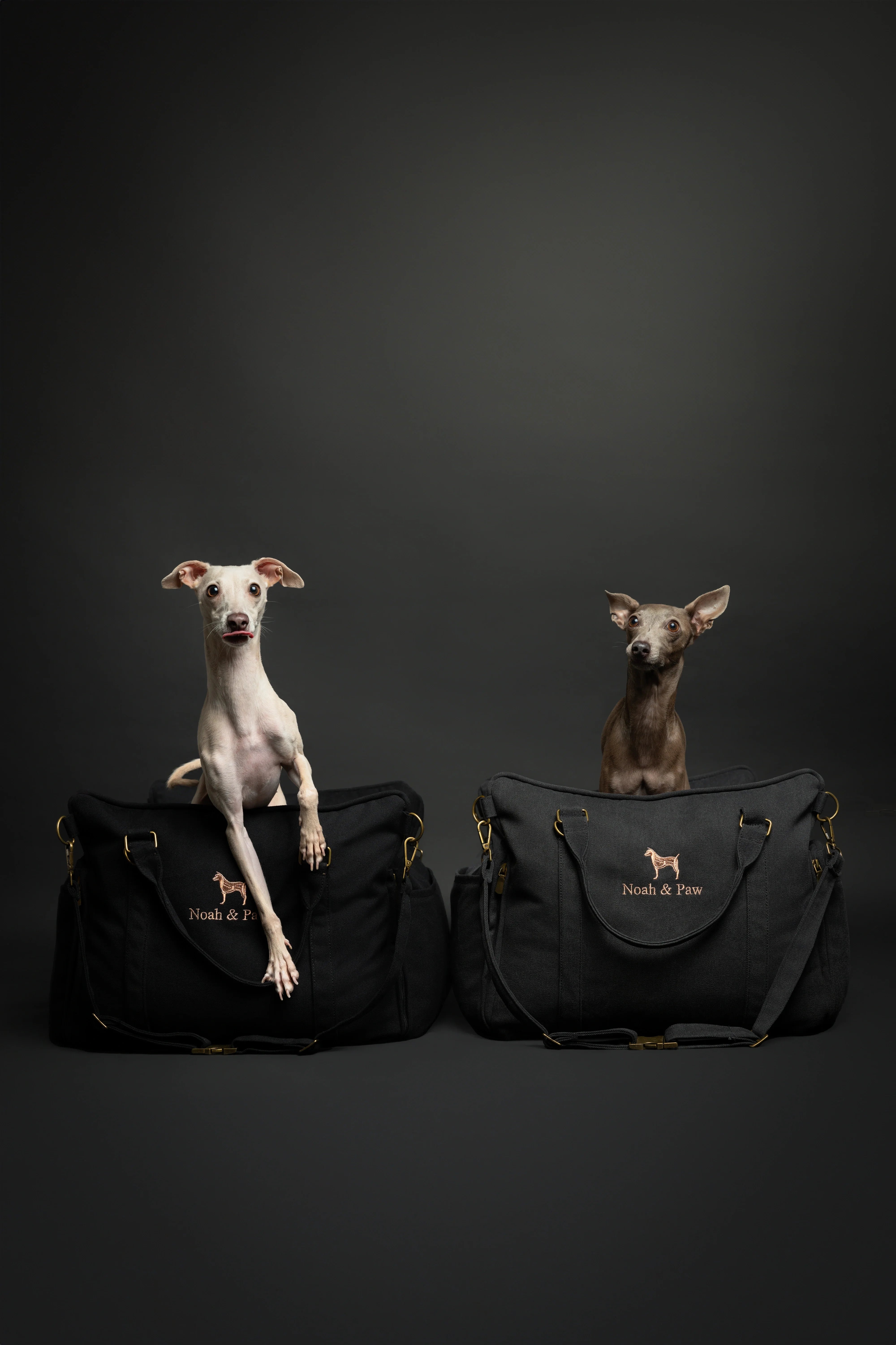 Premium Canvas Pet Beds Collection