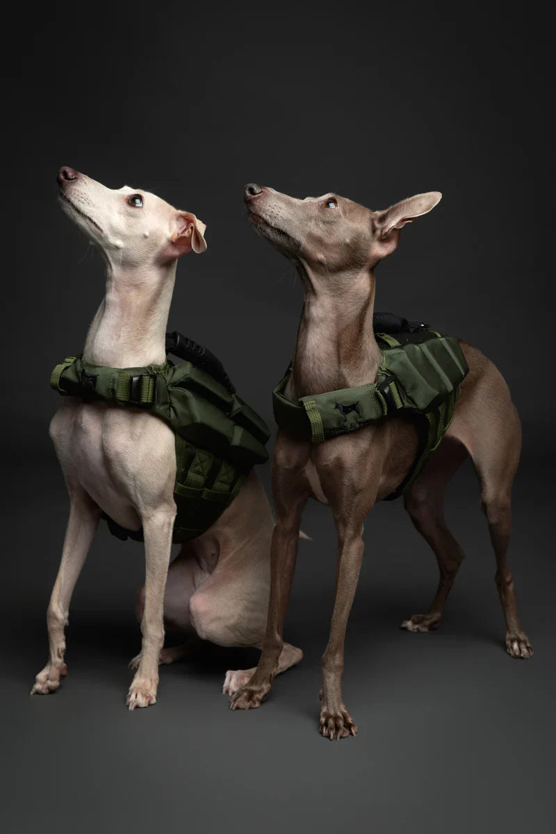 Premium Dog Life Jackets