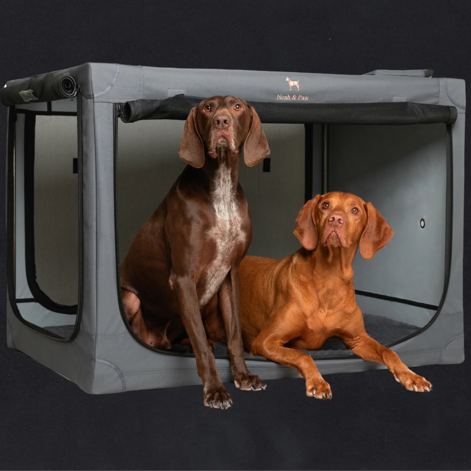 Faux Leather Classic Dog Beds 