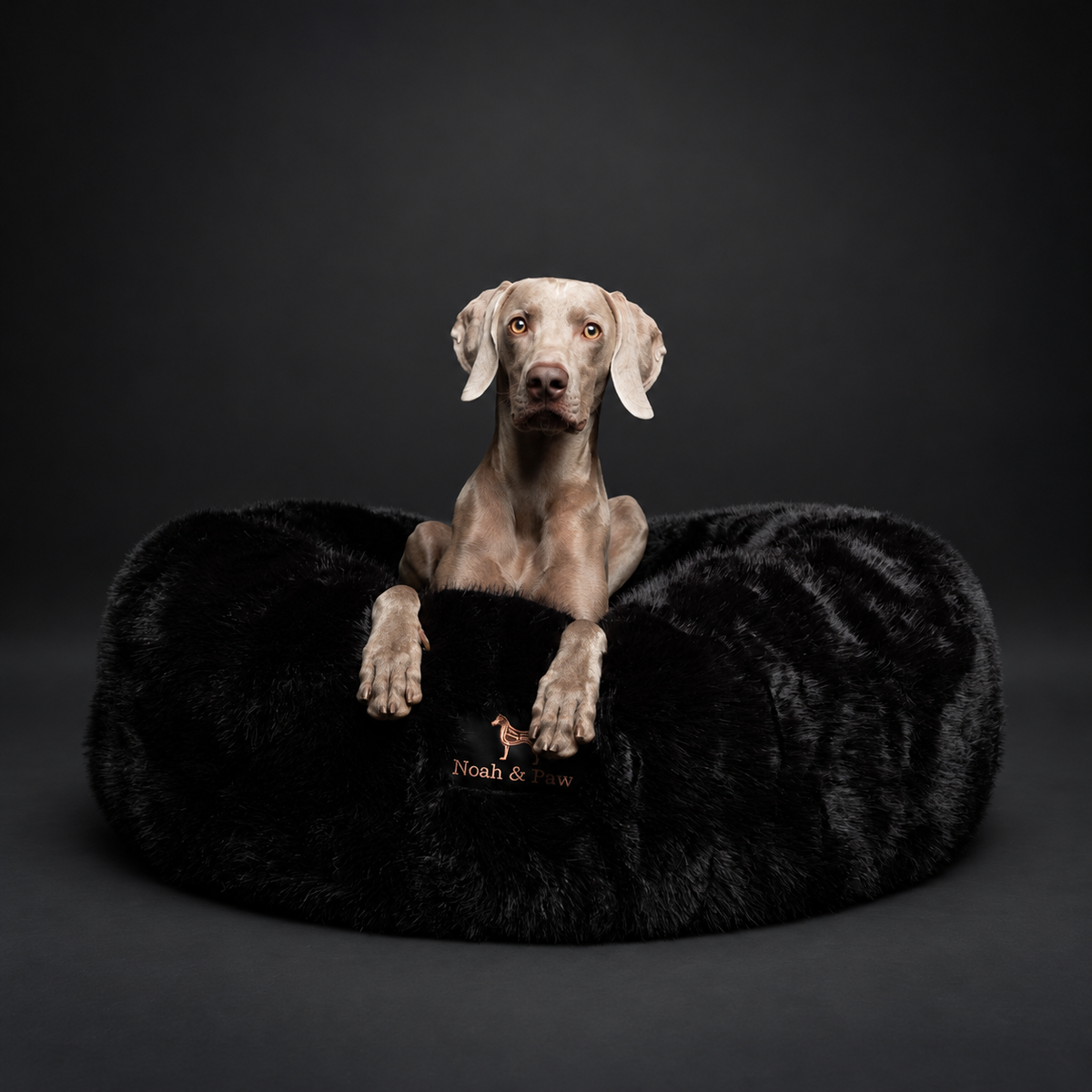 Black donut dog bed, faux fur, Noah & Paw