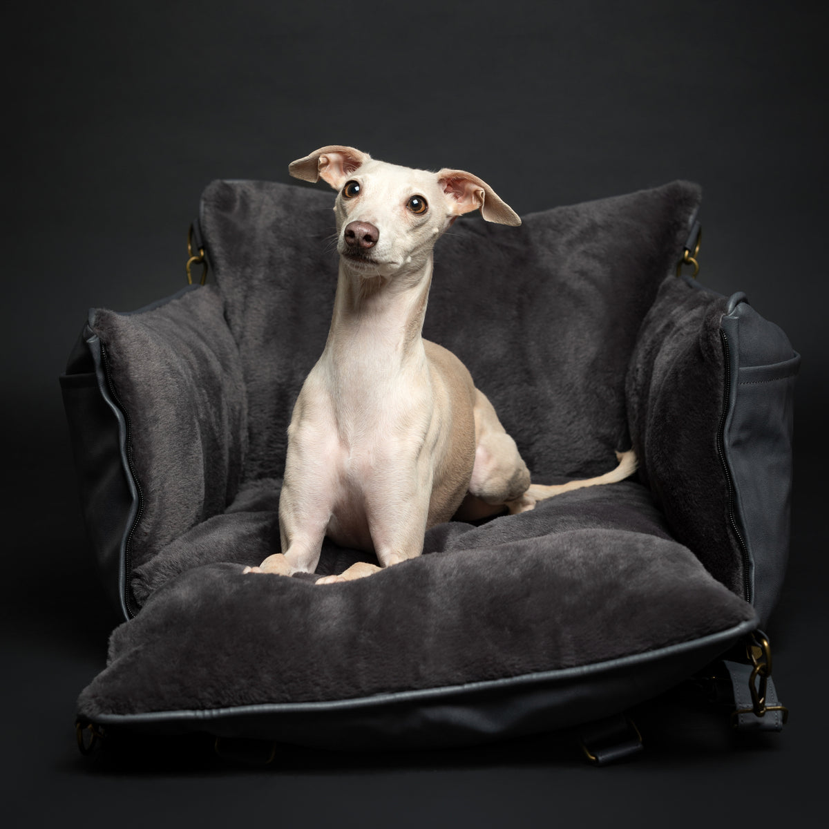 Noah & Paw orthopedic dog car seat carrier with crushed foam, black vegan leather