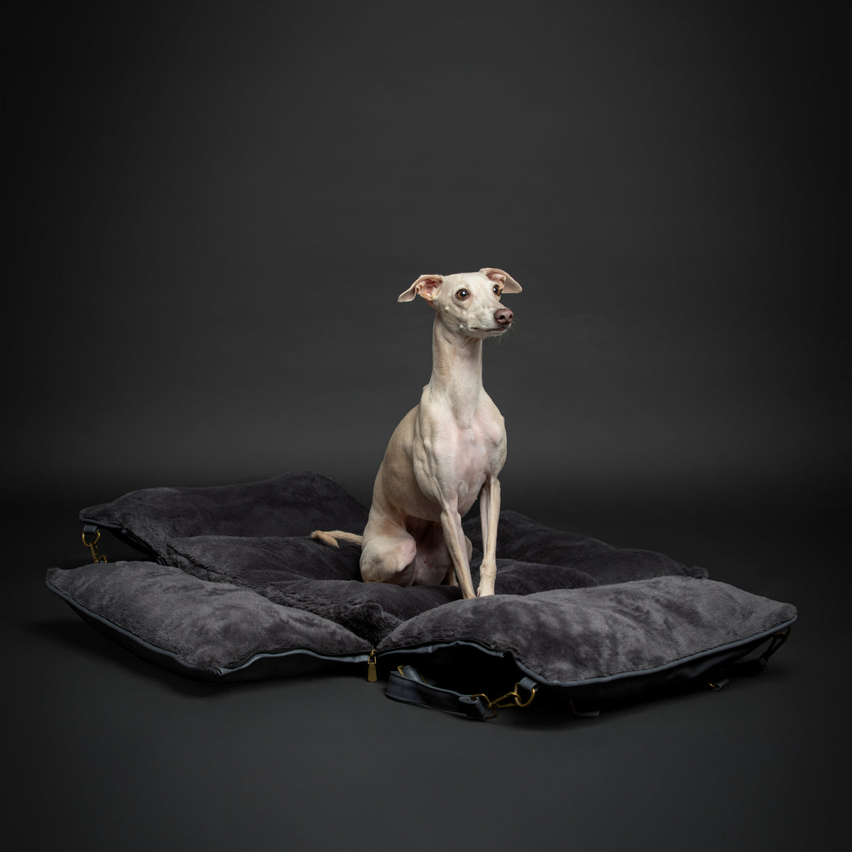 Noah & Paw orthopedic dog car seat carrier with crushed foam, black vegan leather