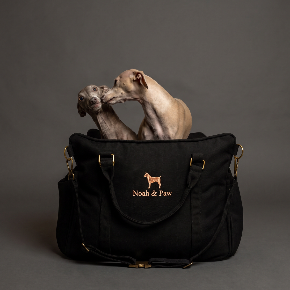 Noah & Paw orthopedic dog car seat carrier, black canvas, with two Italian greyhounds