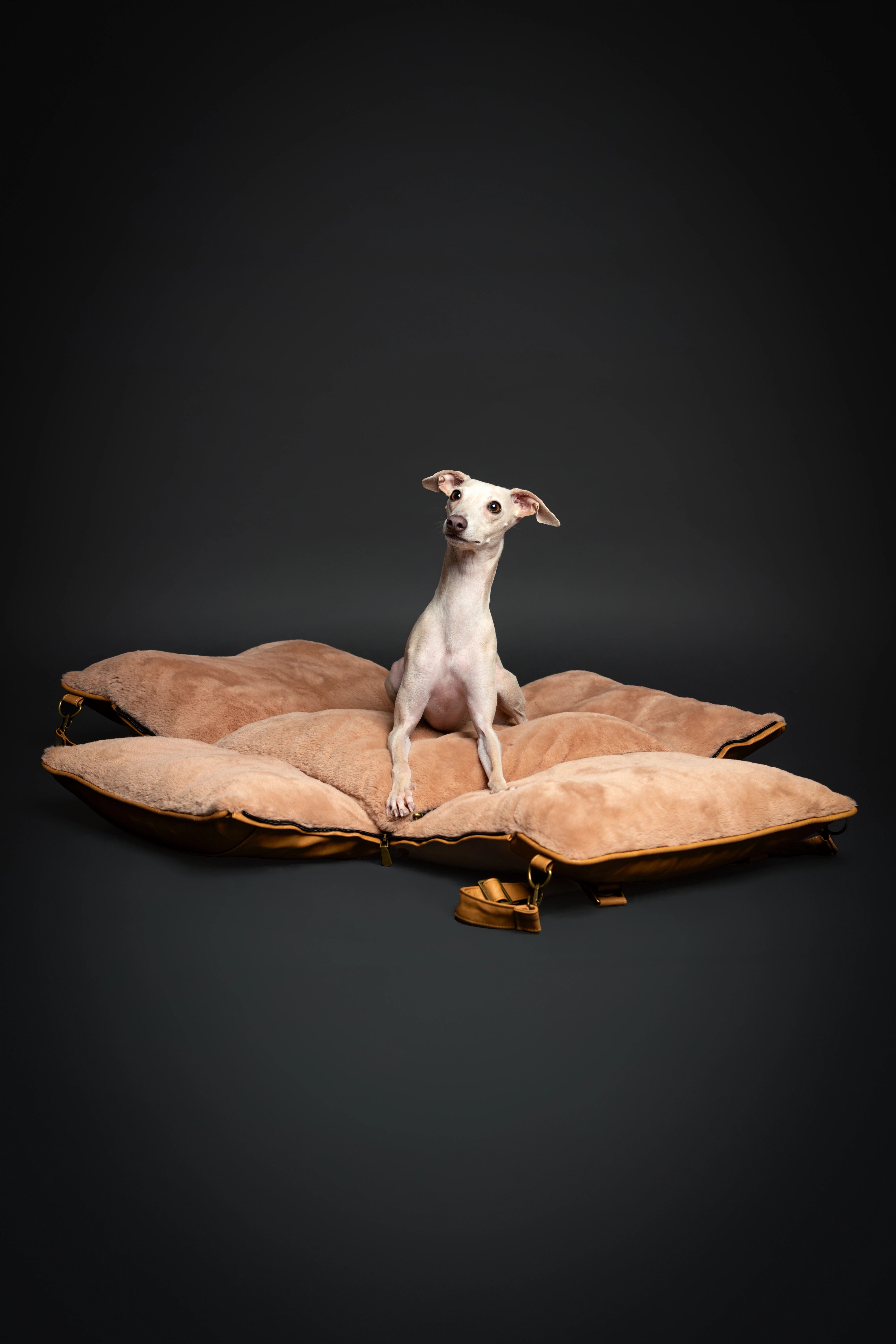 Dog Car Seat Portable Style Faux Leather Camel